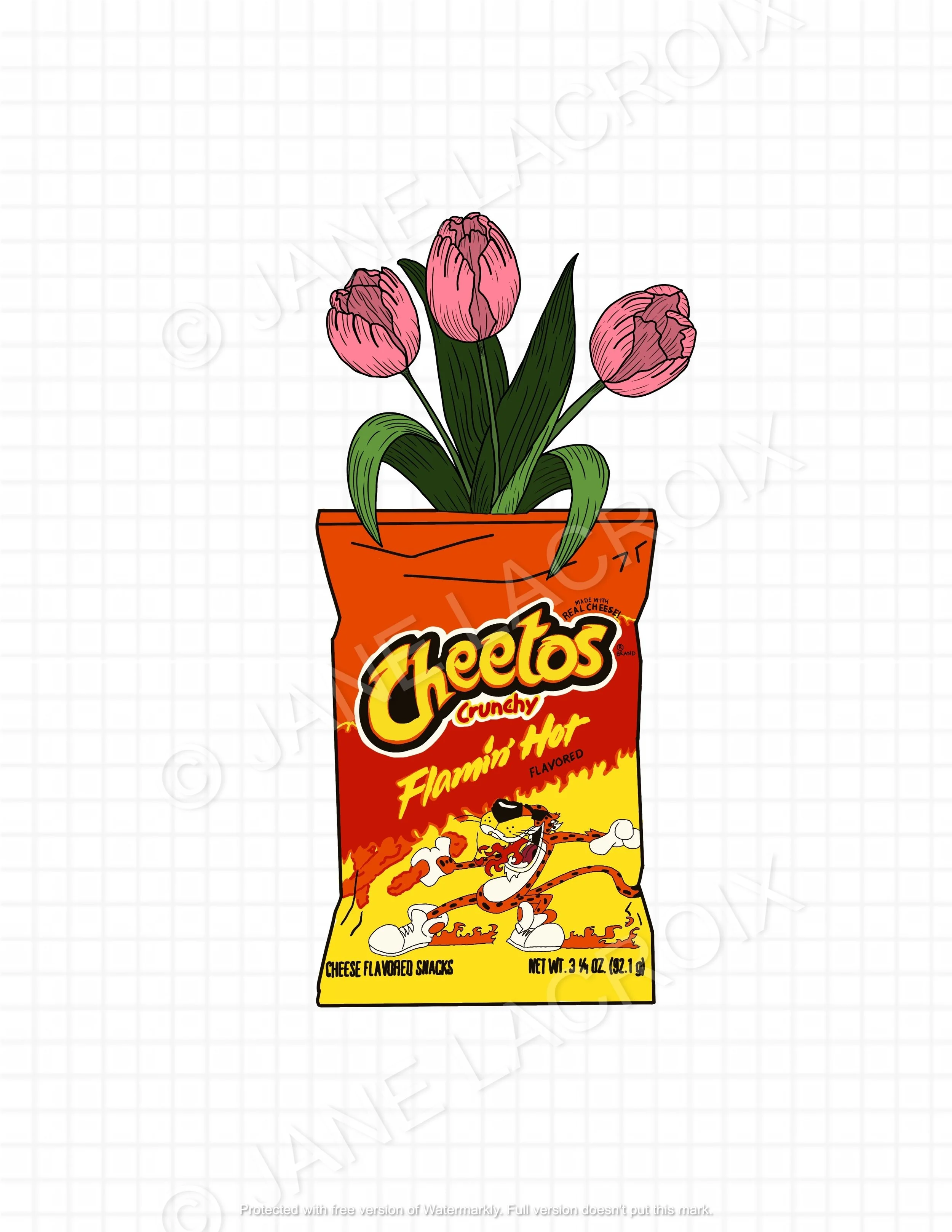 Hot_Cheetos_ 2.jpg
