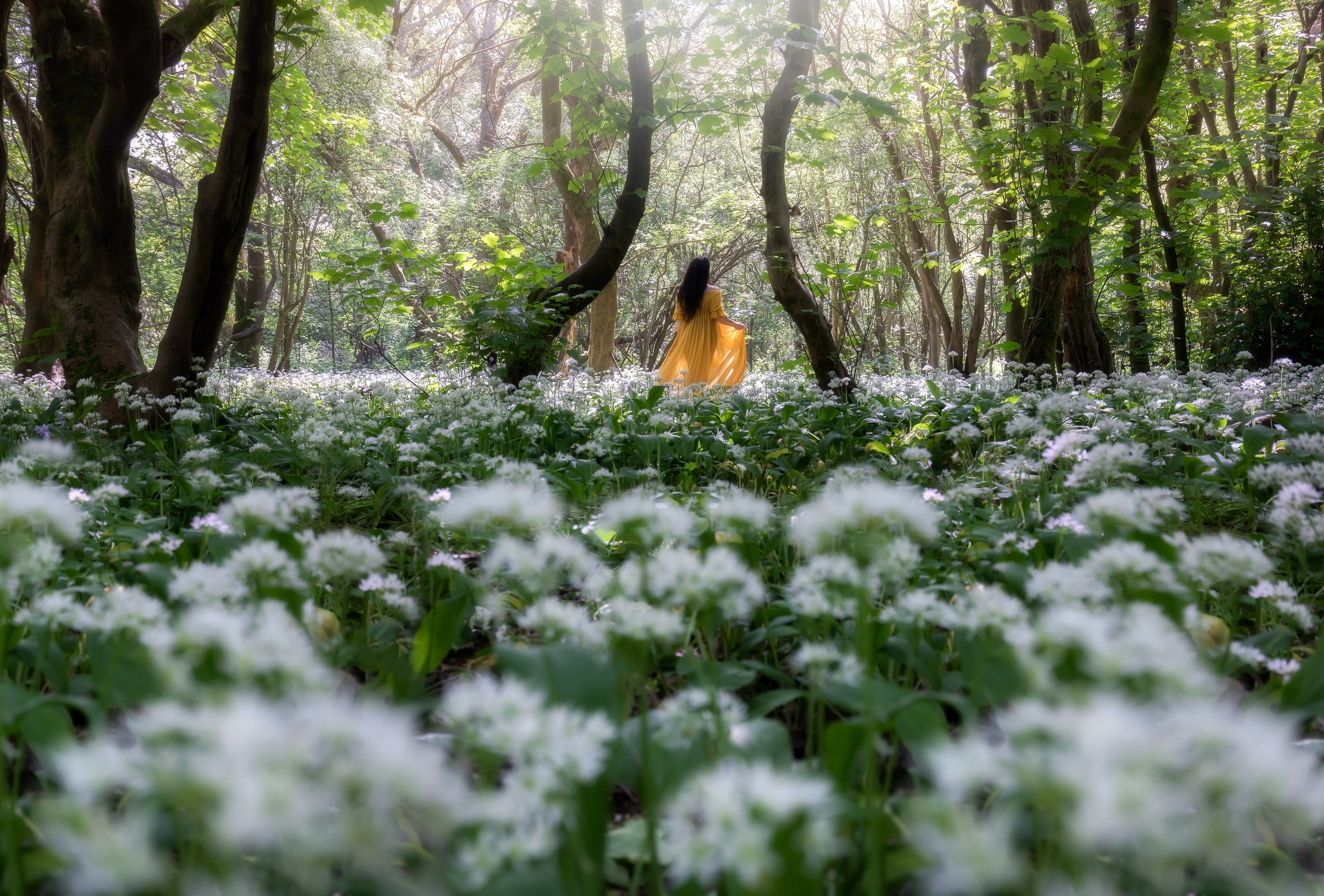 _40A9841-Edit copy.jpg