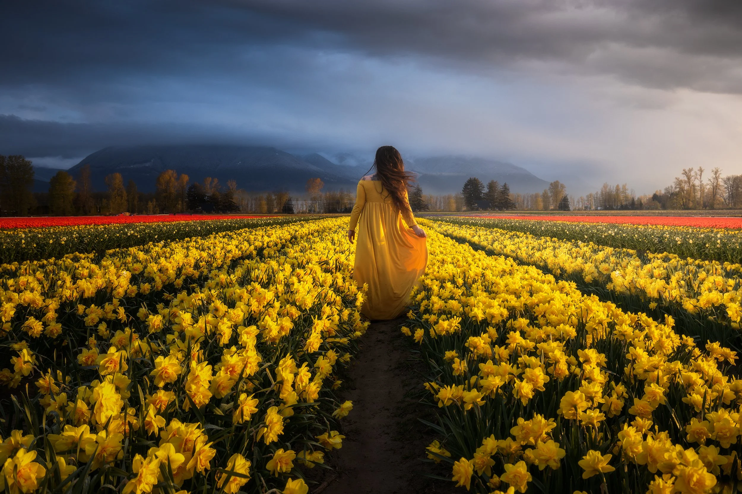 A woman in a yellow dress walking through a field of yellow flowers at sunset, with dark clouds over mountains in the background.