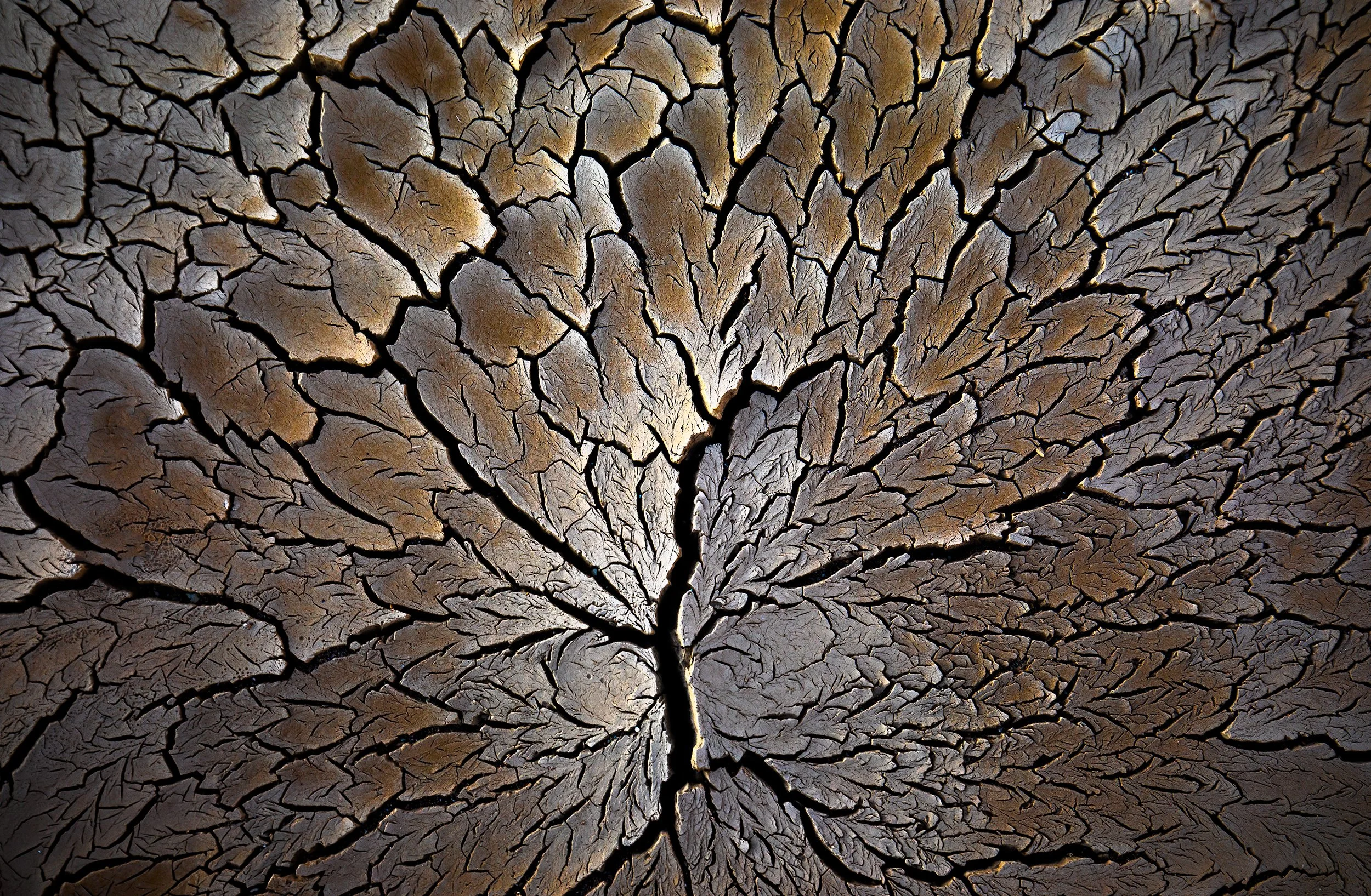 _40A3080-Edit copy.jpg