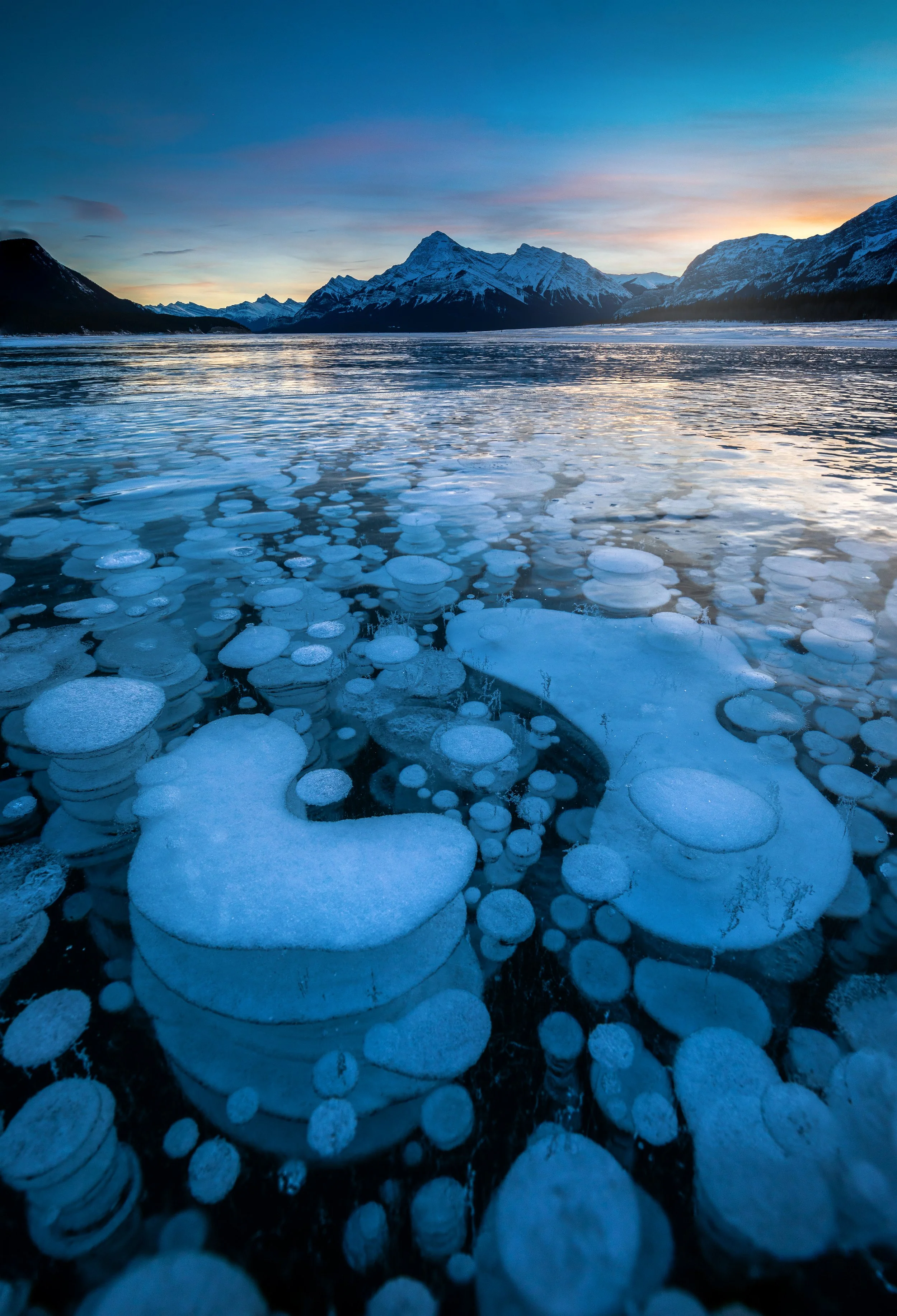 _40A2854-Edit-Recovered copy.jpg