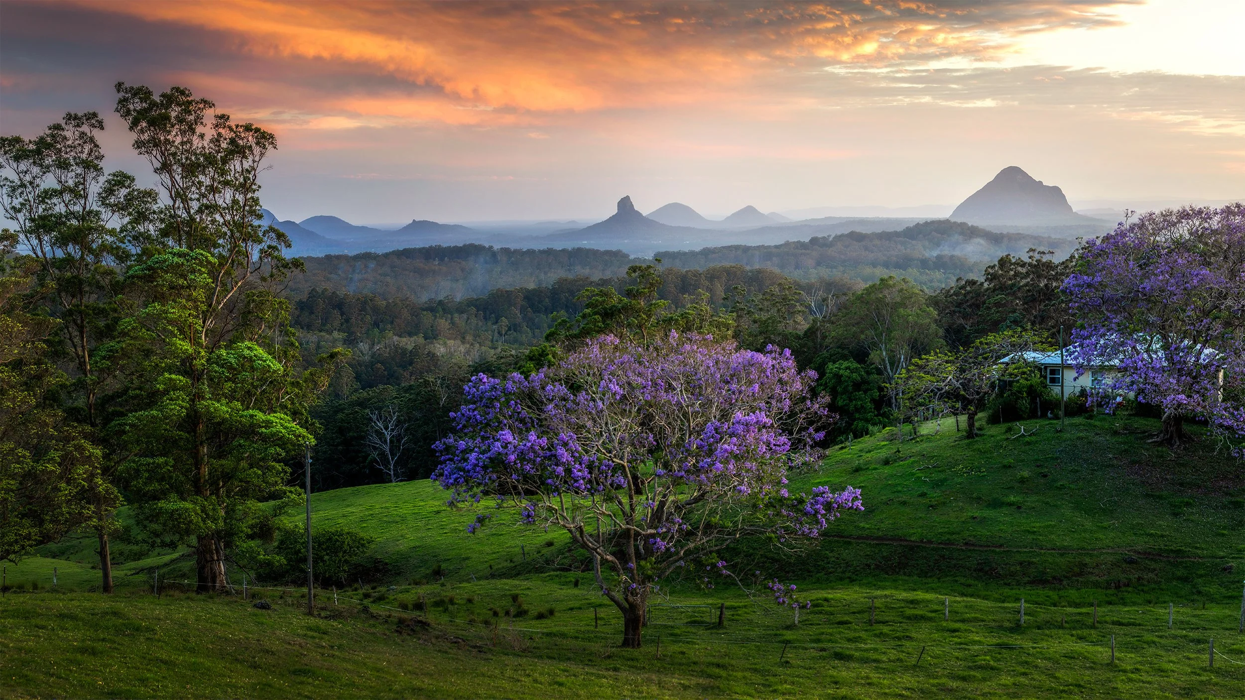 _40A2201-Edit copy.jpg