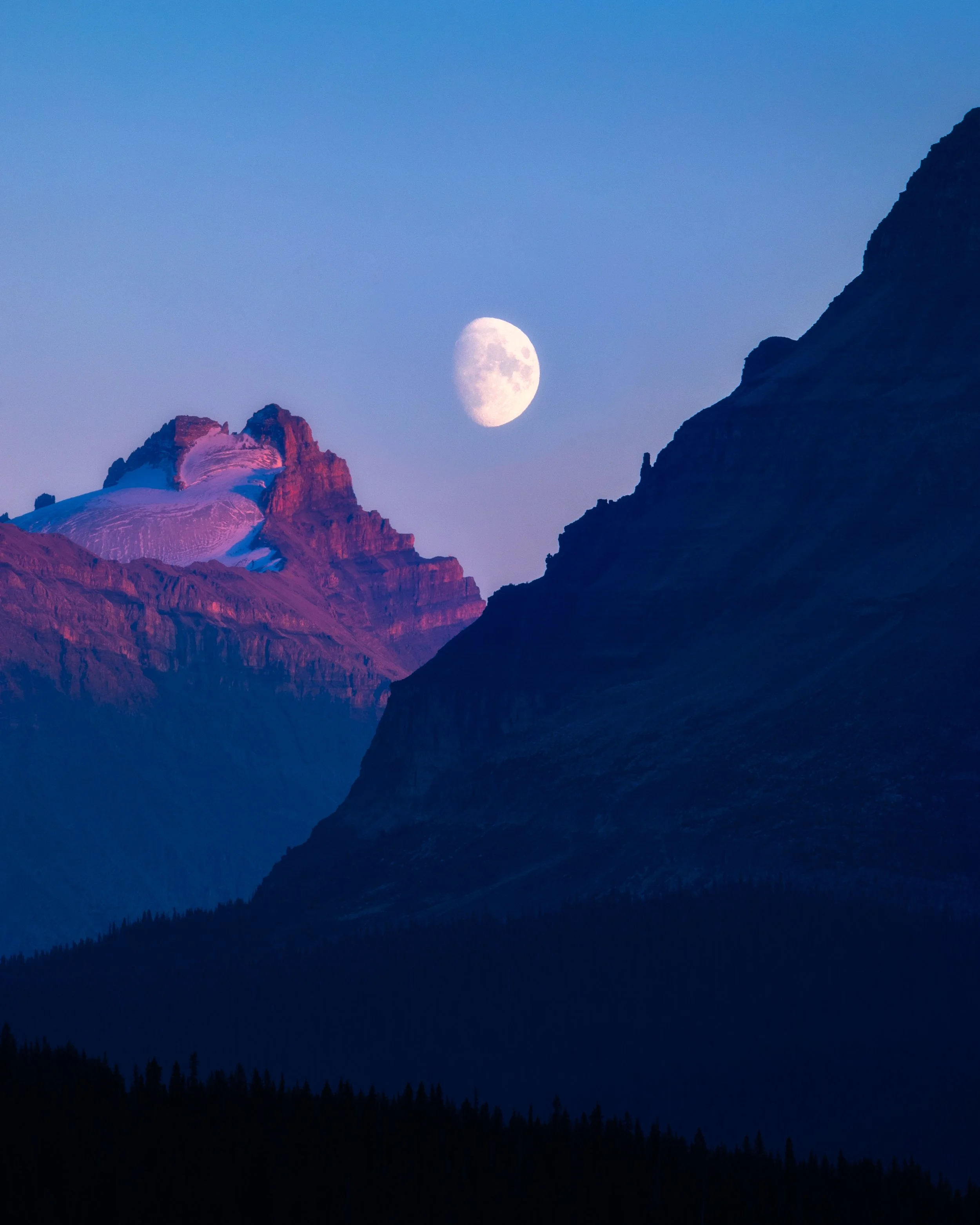 _40A9661-Edit copy.jpg