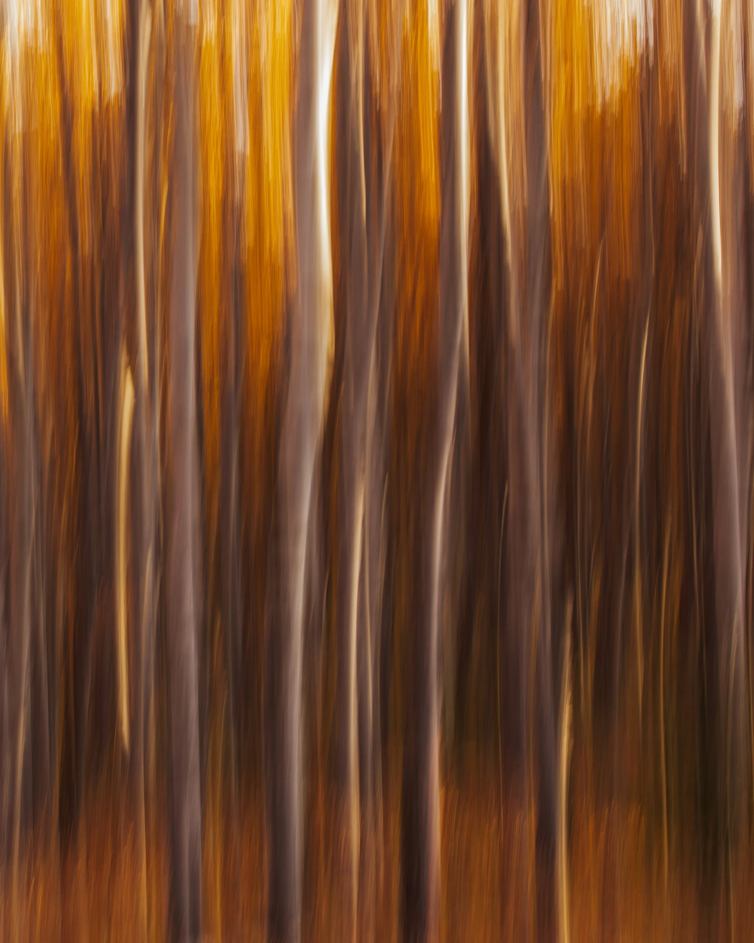 _40A0156-Edit copy.jpg