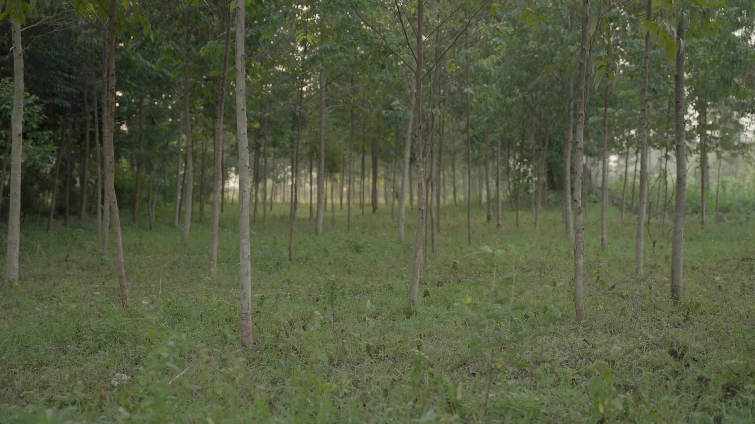 Capture d’écran, le 2024-06-05 à 11.55.40.JPG