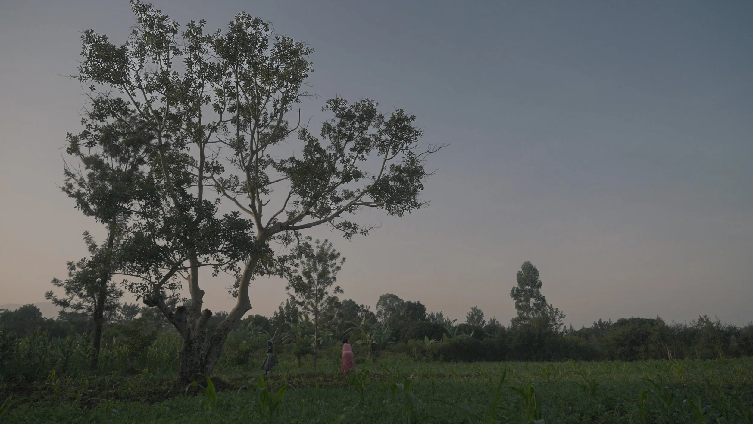 Capture d’écran, le 2024-06-05 à 11.56.22.JPG