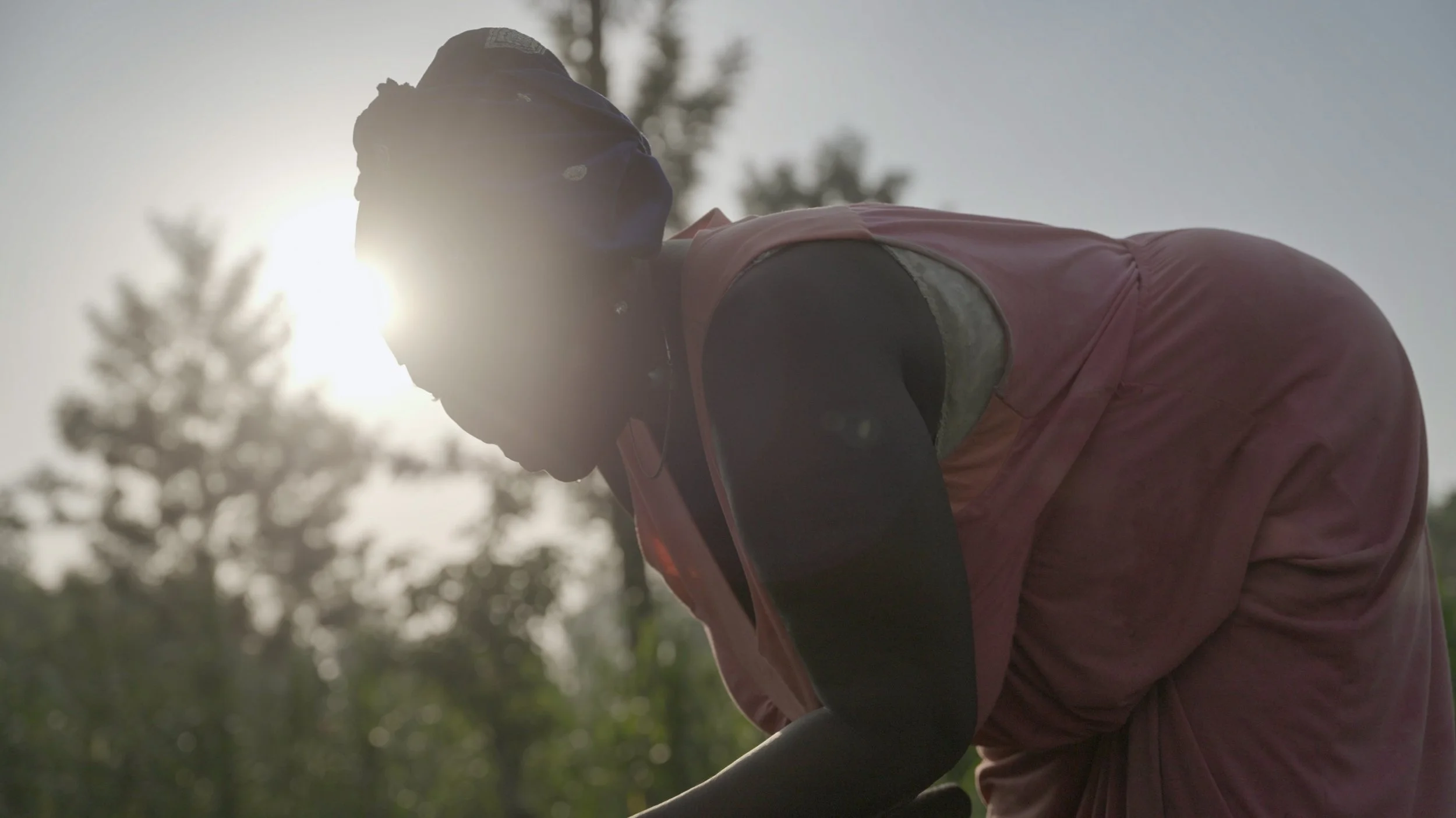 Capture d’écran, le 2024-06-05 à 12.04.54.JPG