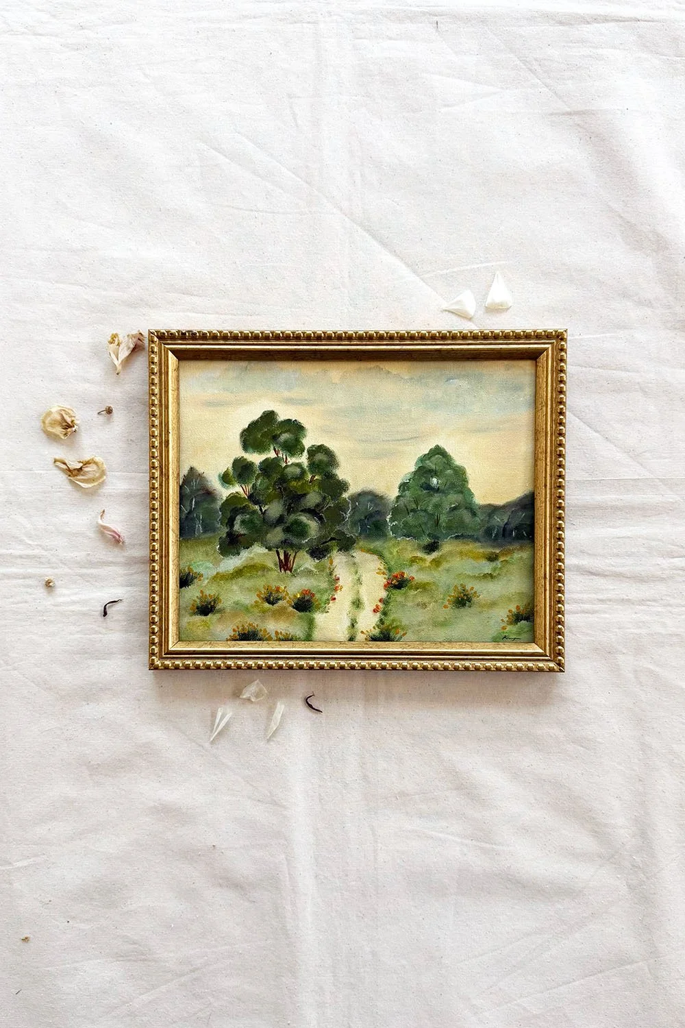 Soft Horizon: The Landscape