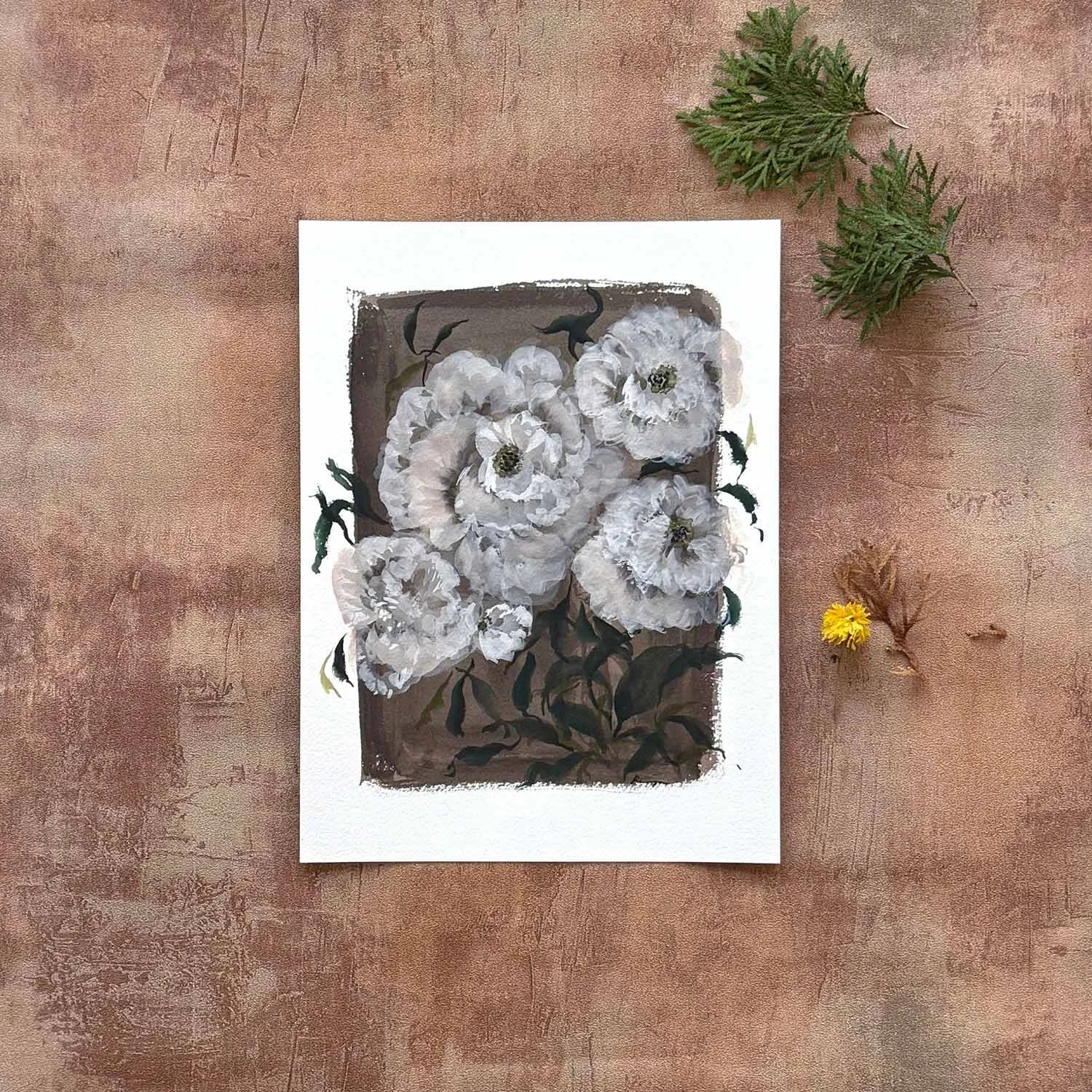 Plush Ranunculus
