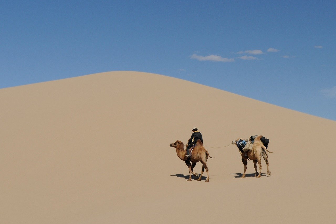 mongolia-739774_1280.jpg