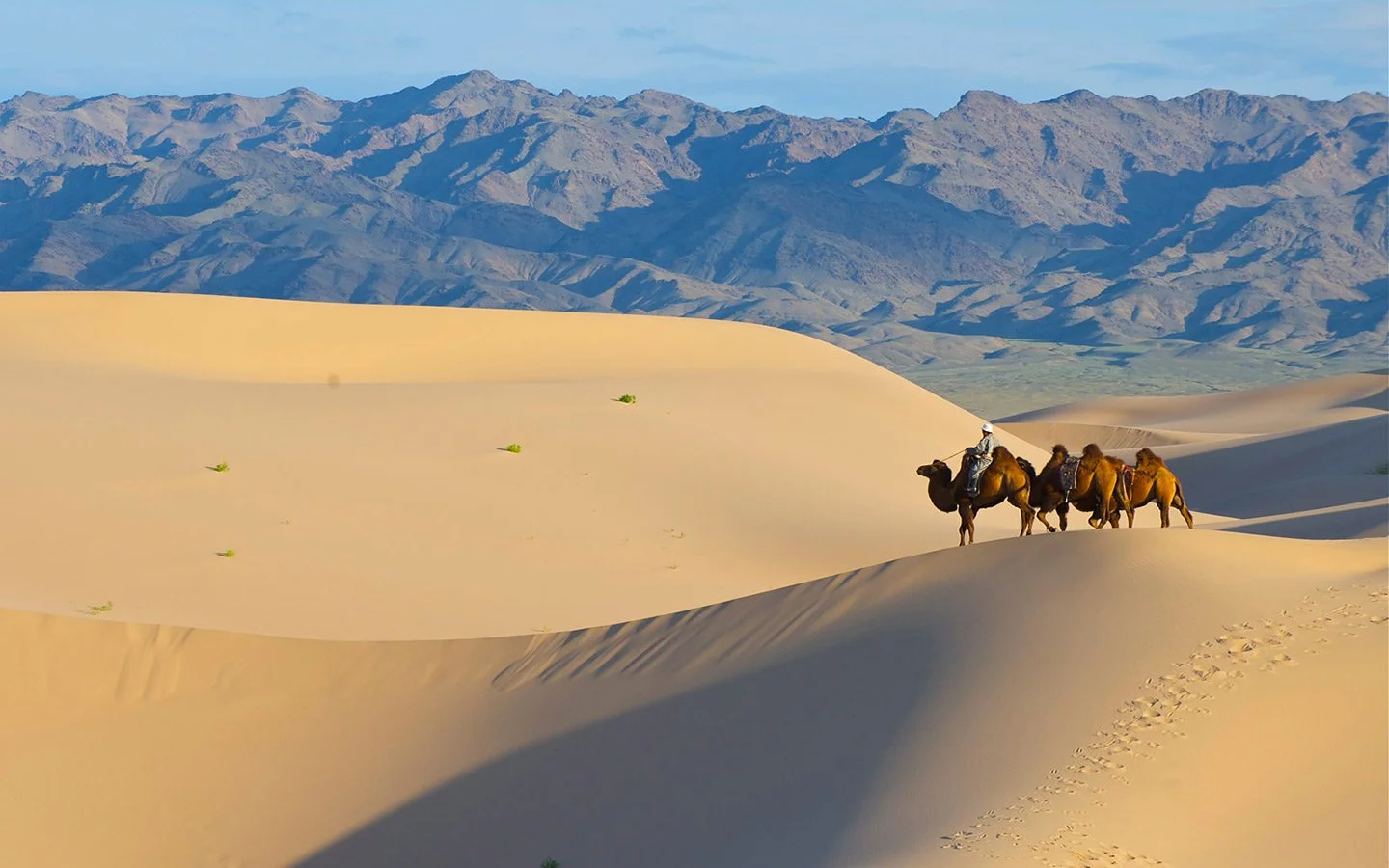 Elsen_Tasarkhai_Sand_Dunes.jpg