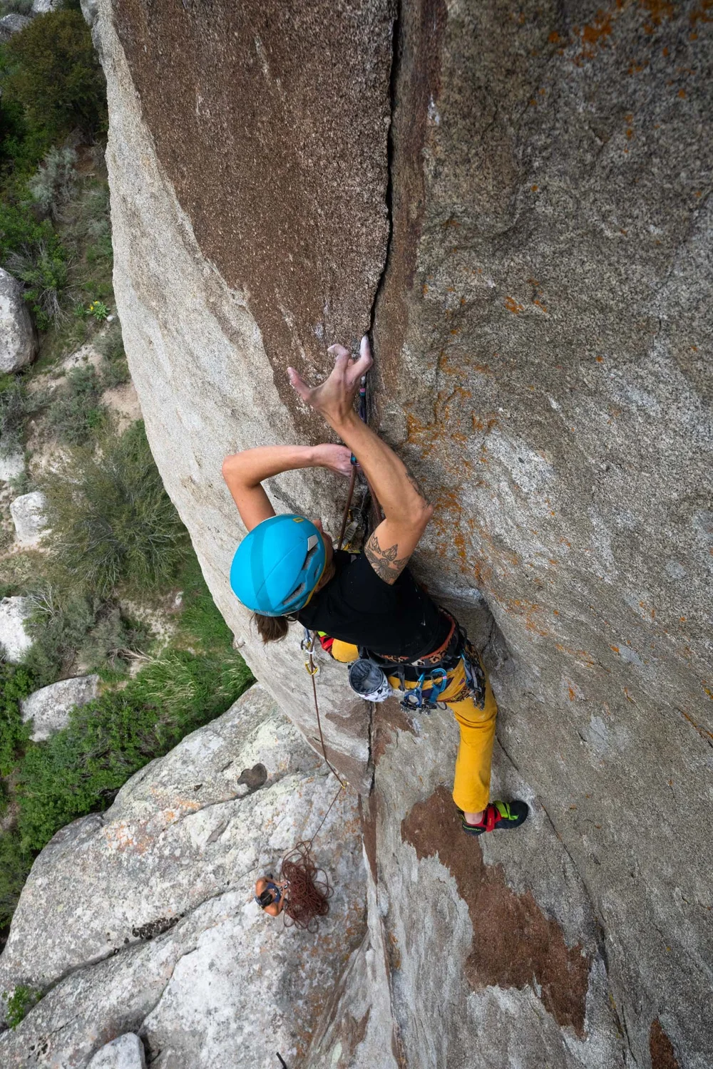 Coaching — Fallon Rowe