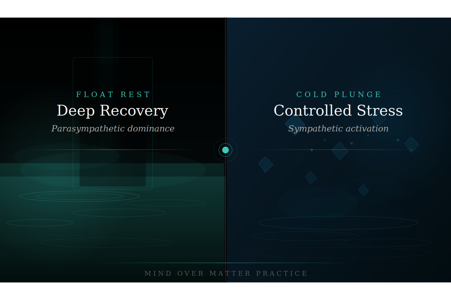 Why Your Nervous System Needs Both Stress and Rest