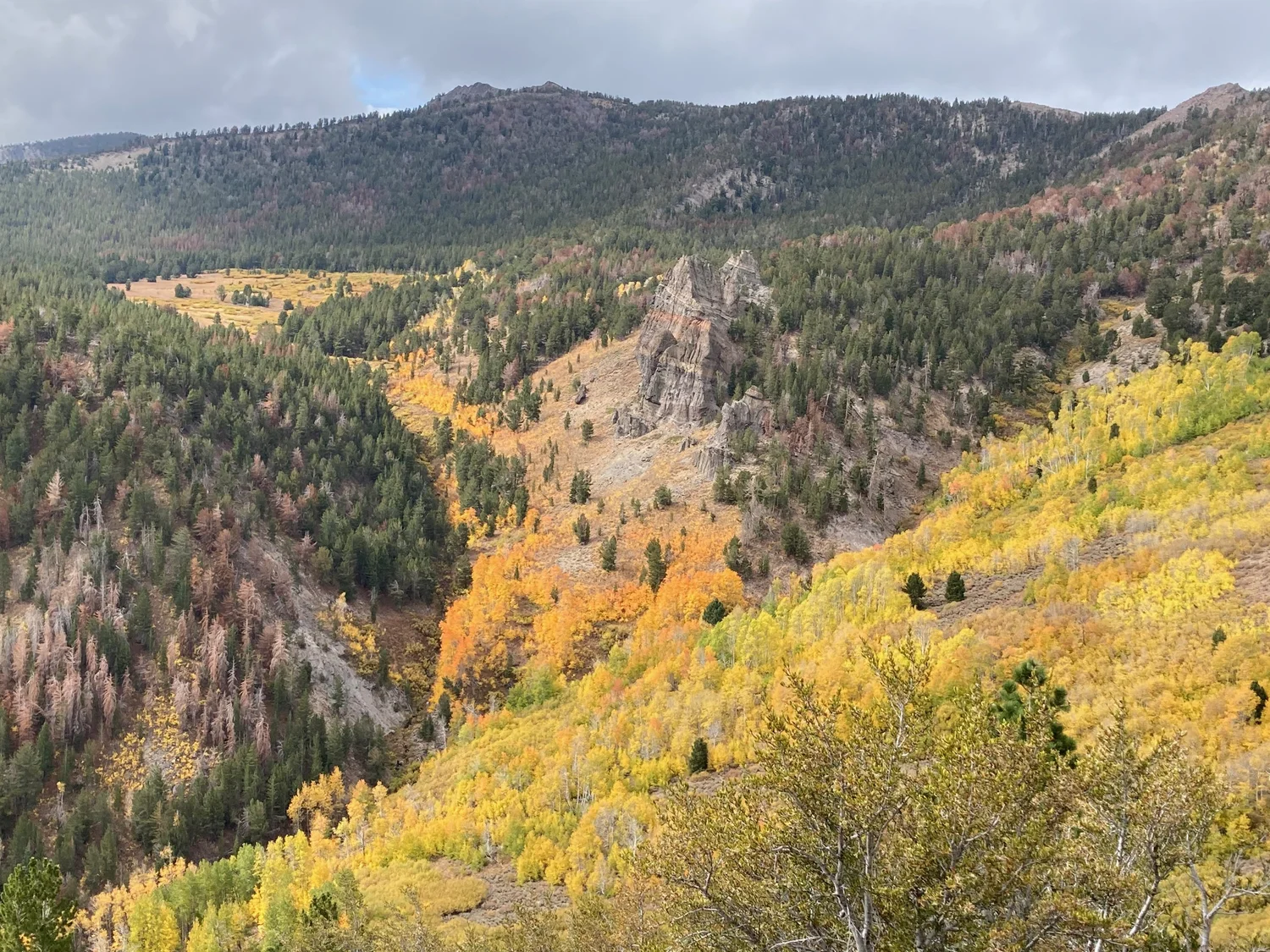 Fall Arrival and a Super El Niño?
