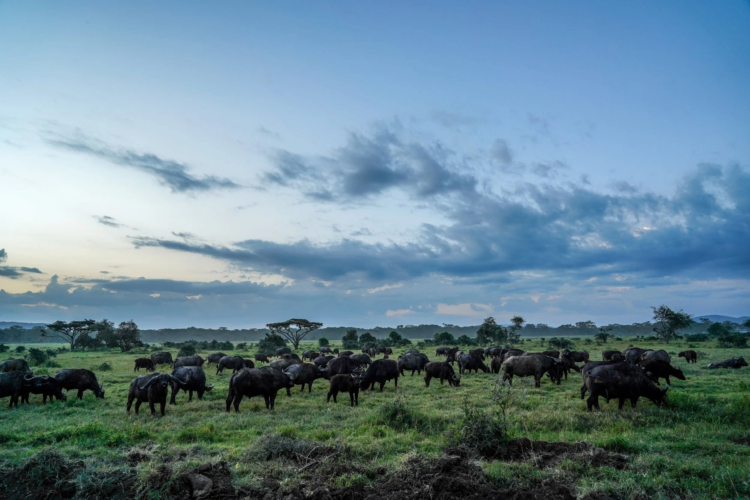 Lake Nakuru, Kenya