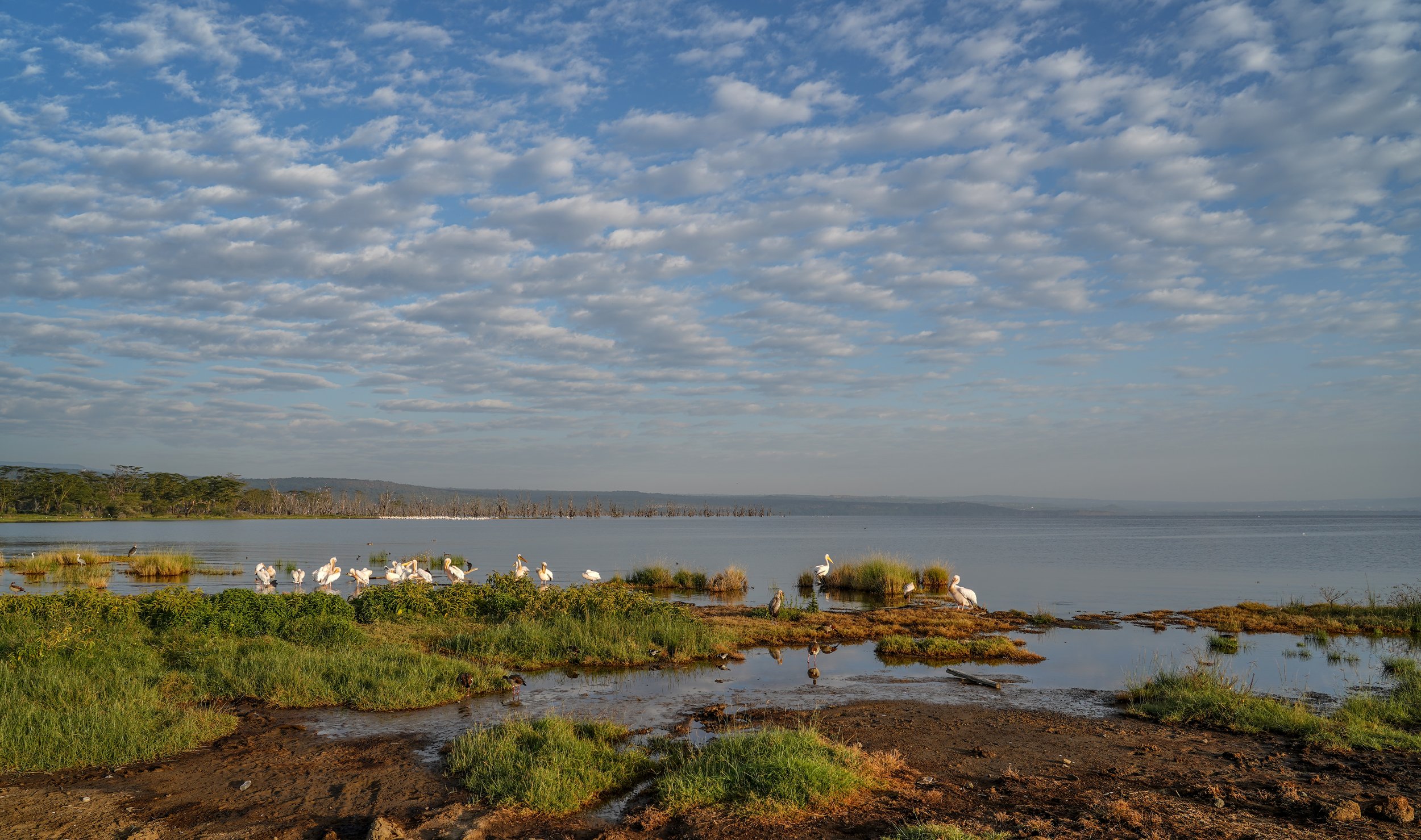 Lake Nakuru, Kenya
