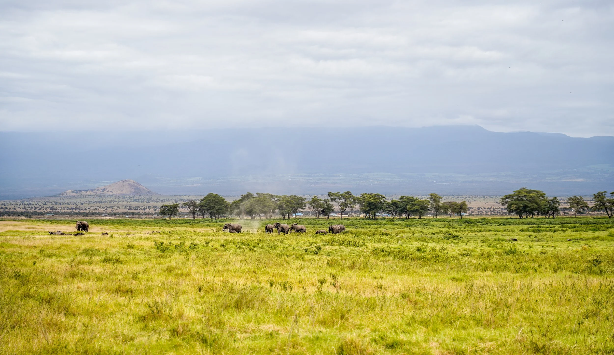 Amboseli, Kenya