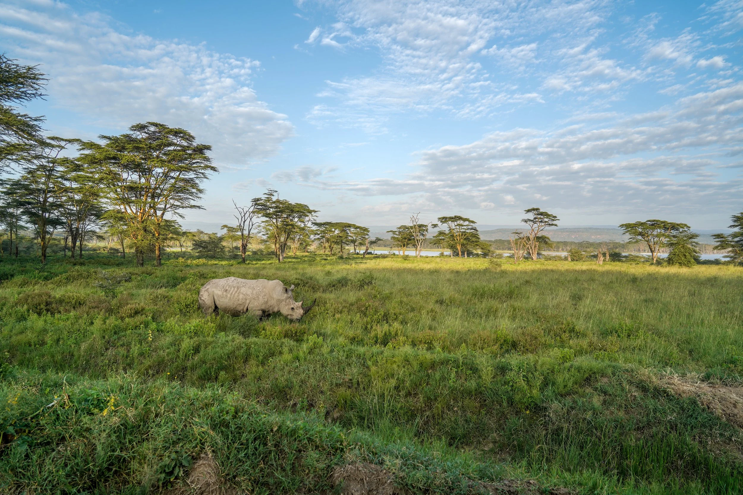 Lake Nakuru, Kenya