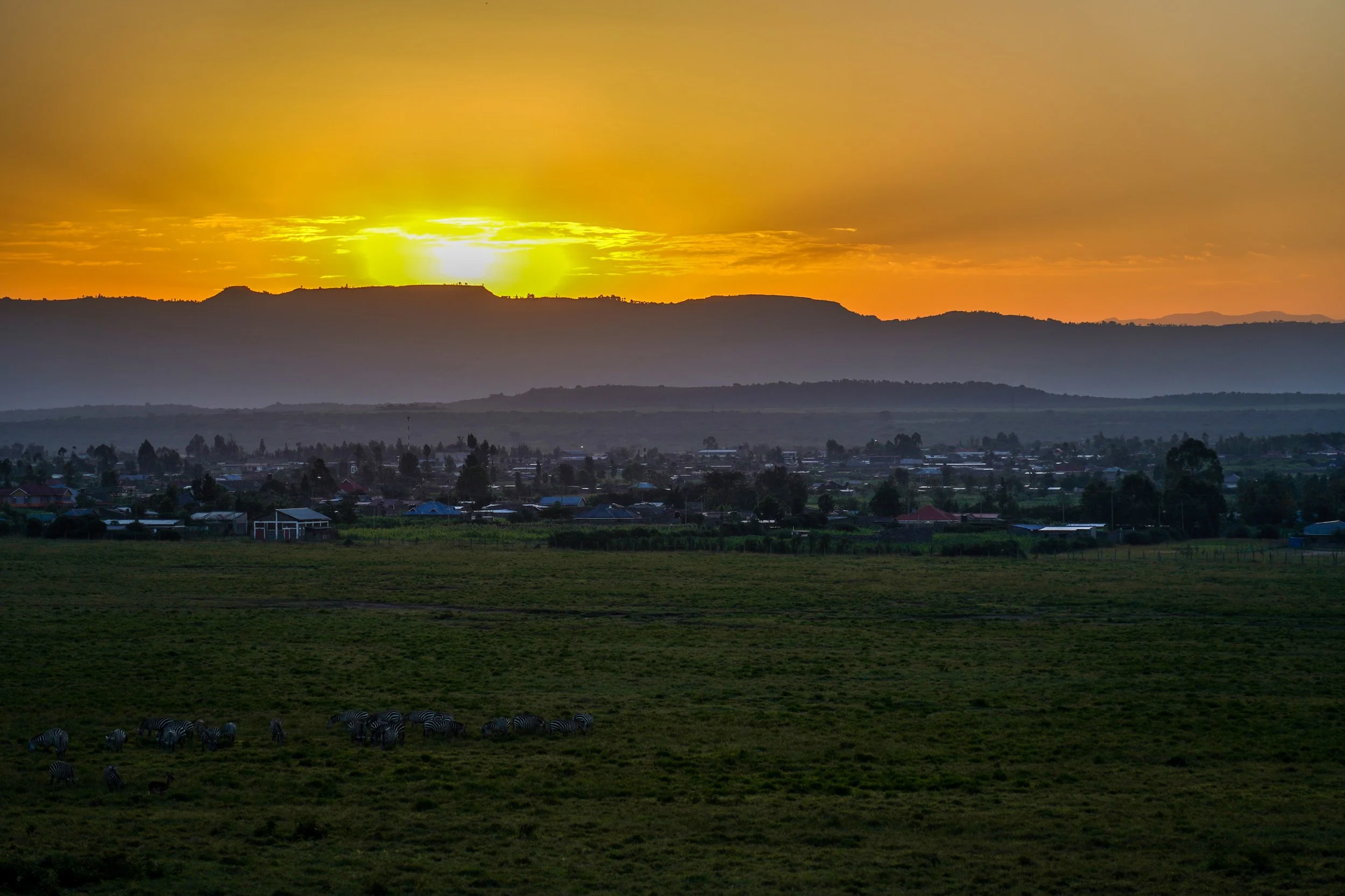 Lake Nakuru, Kenya