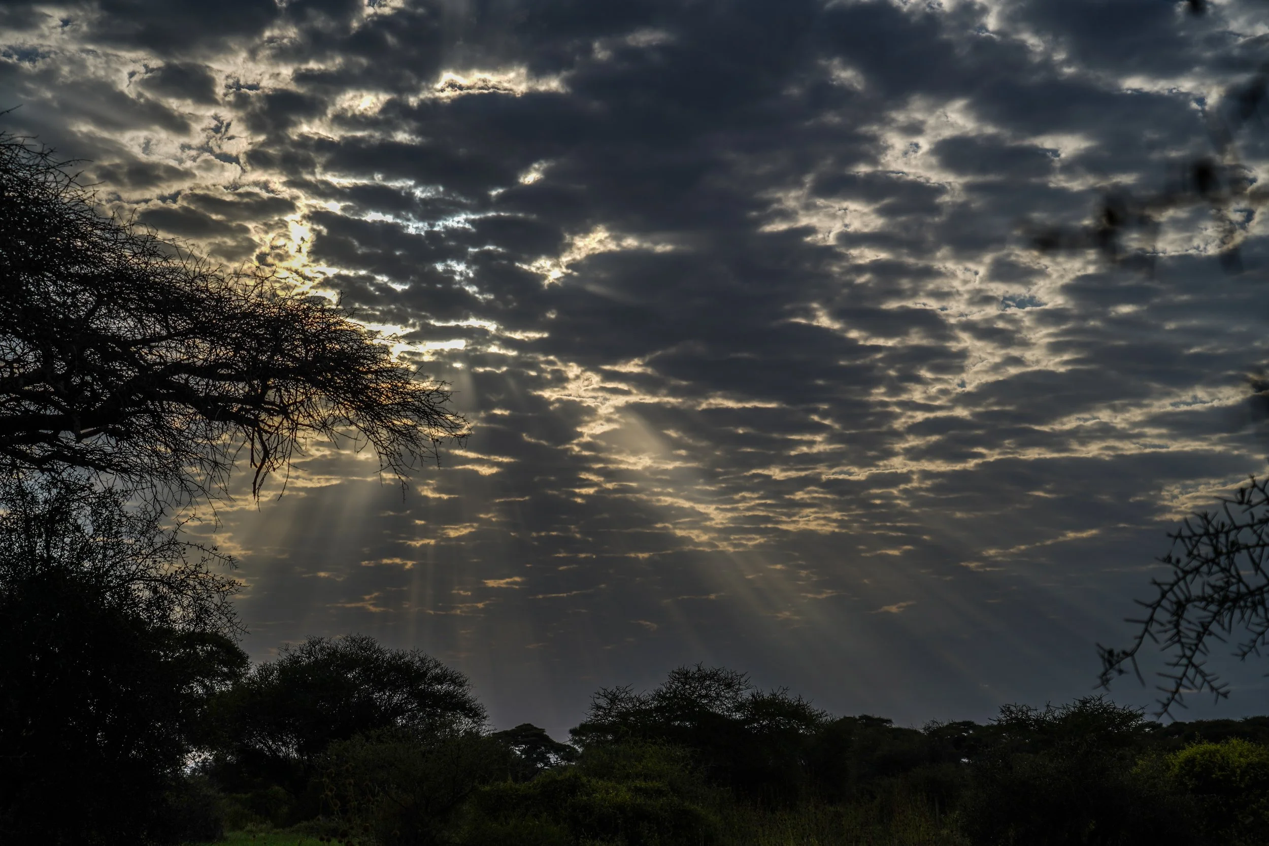 Amboseli, Kenya