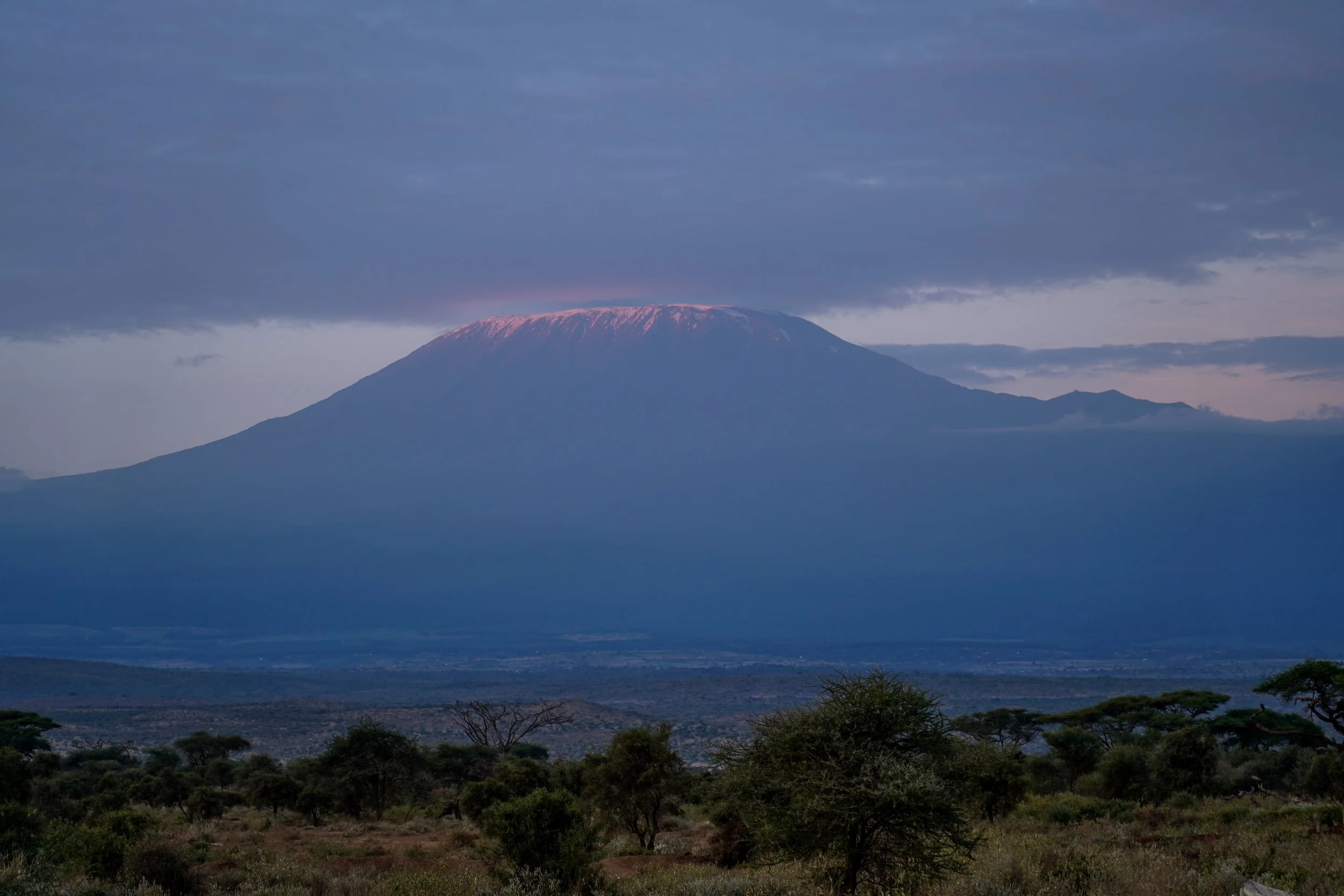 Mount Kilimanjaro, Amboseli, Kenya