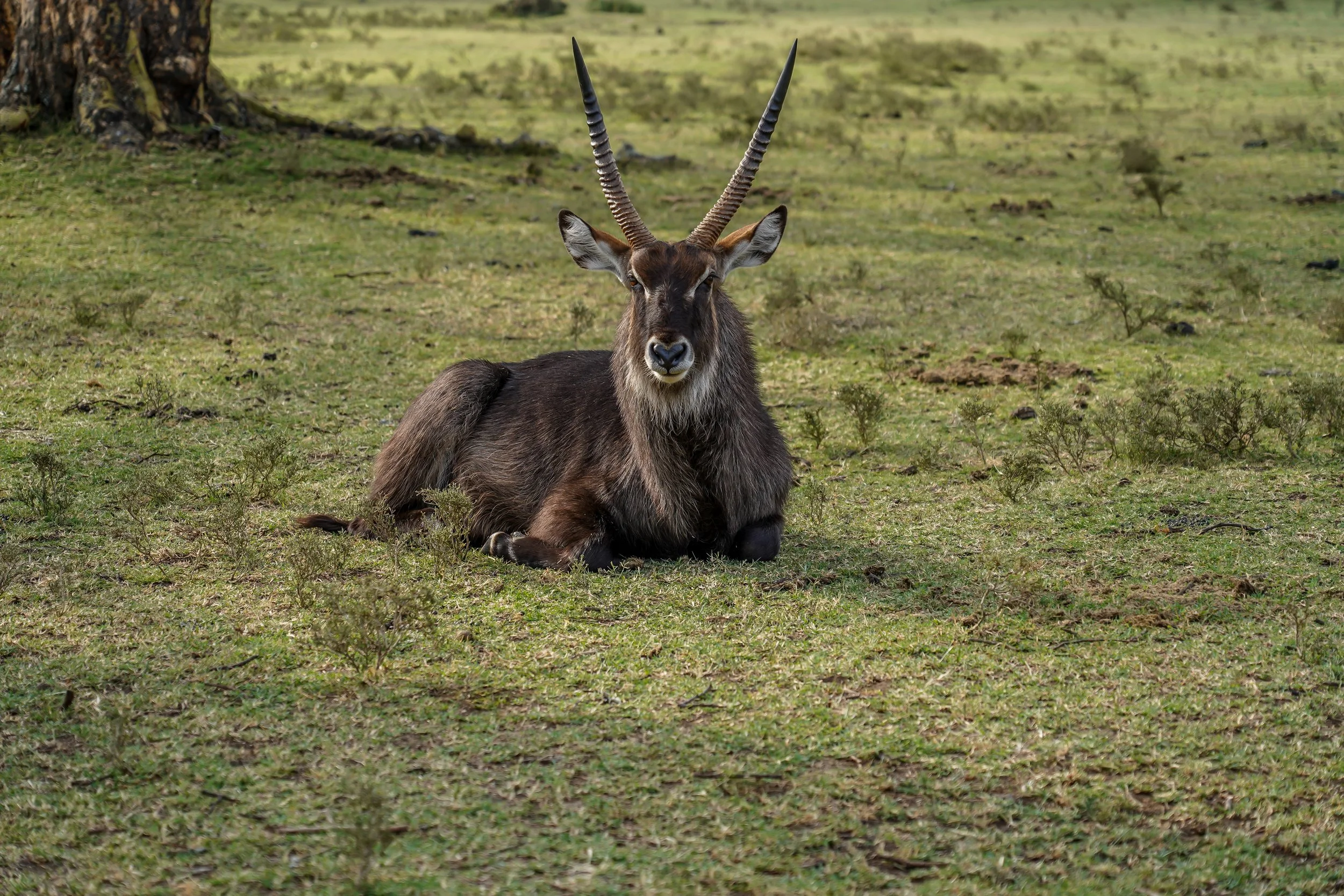 Lake Naivasa, Kenya