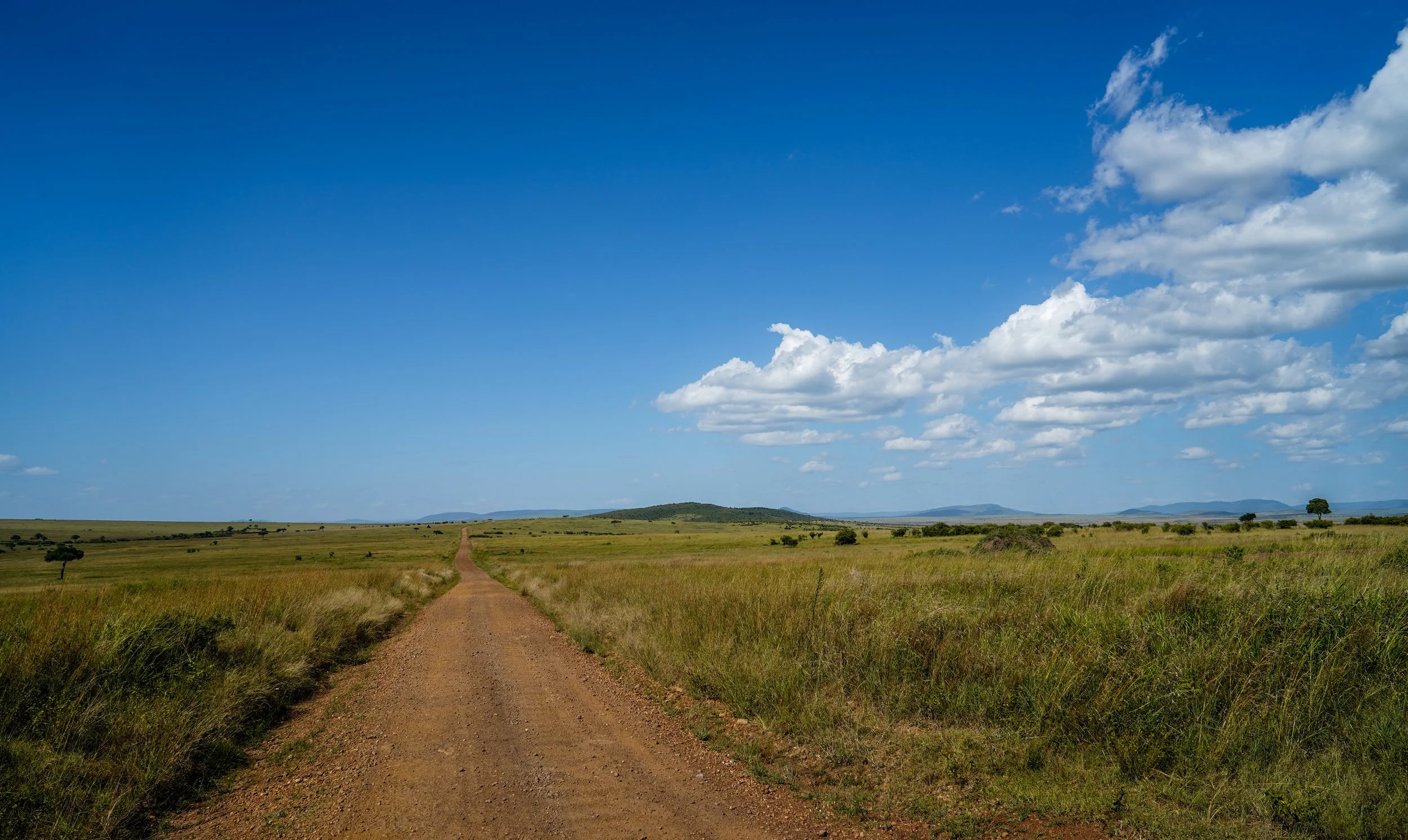Maasai Mara, Kenya