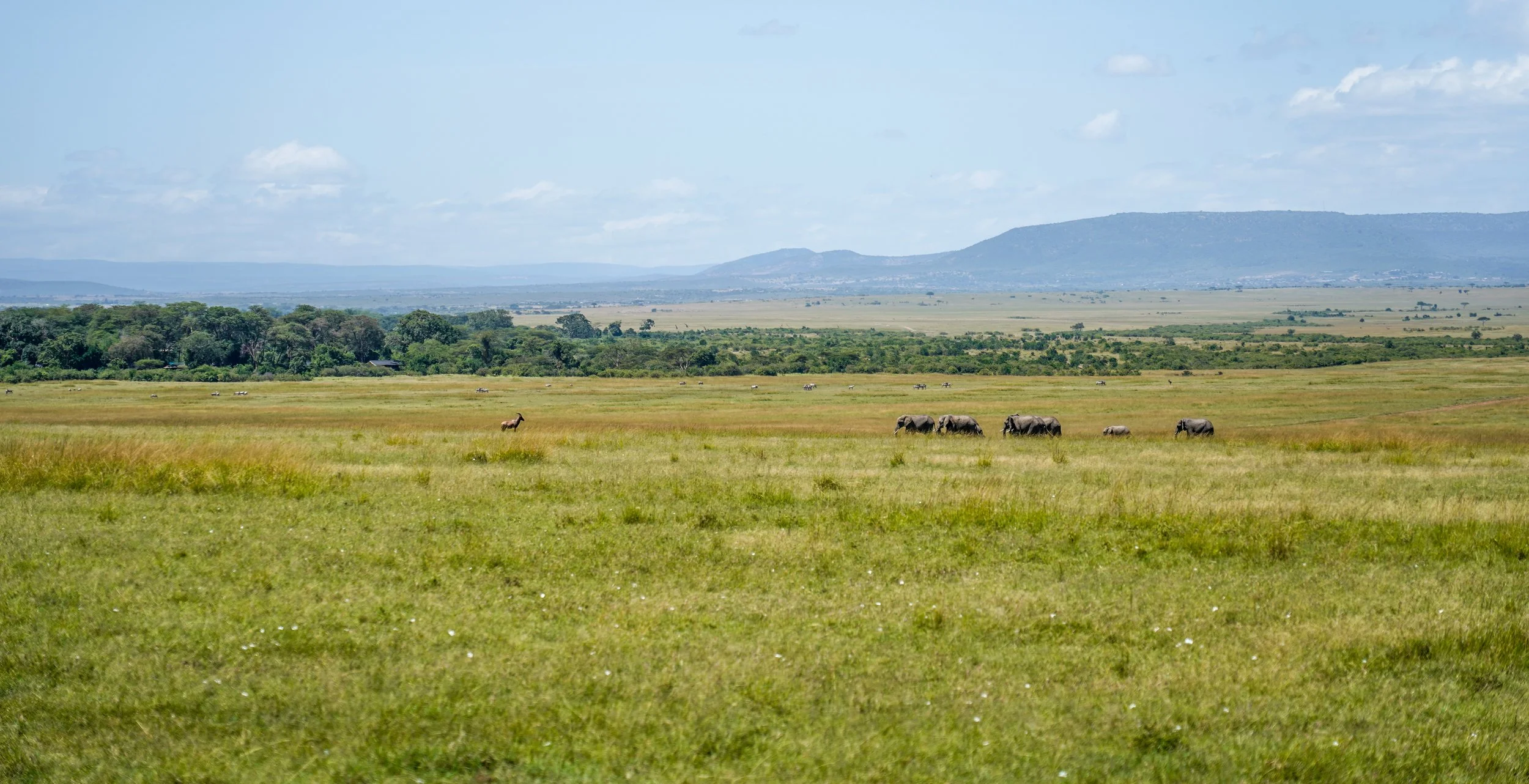 Maasai Mara, Kenya