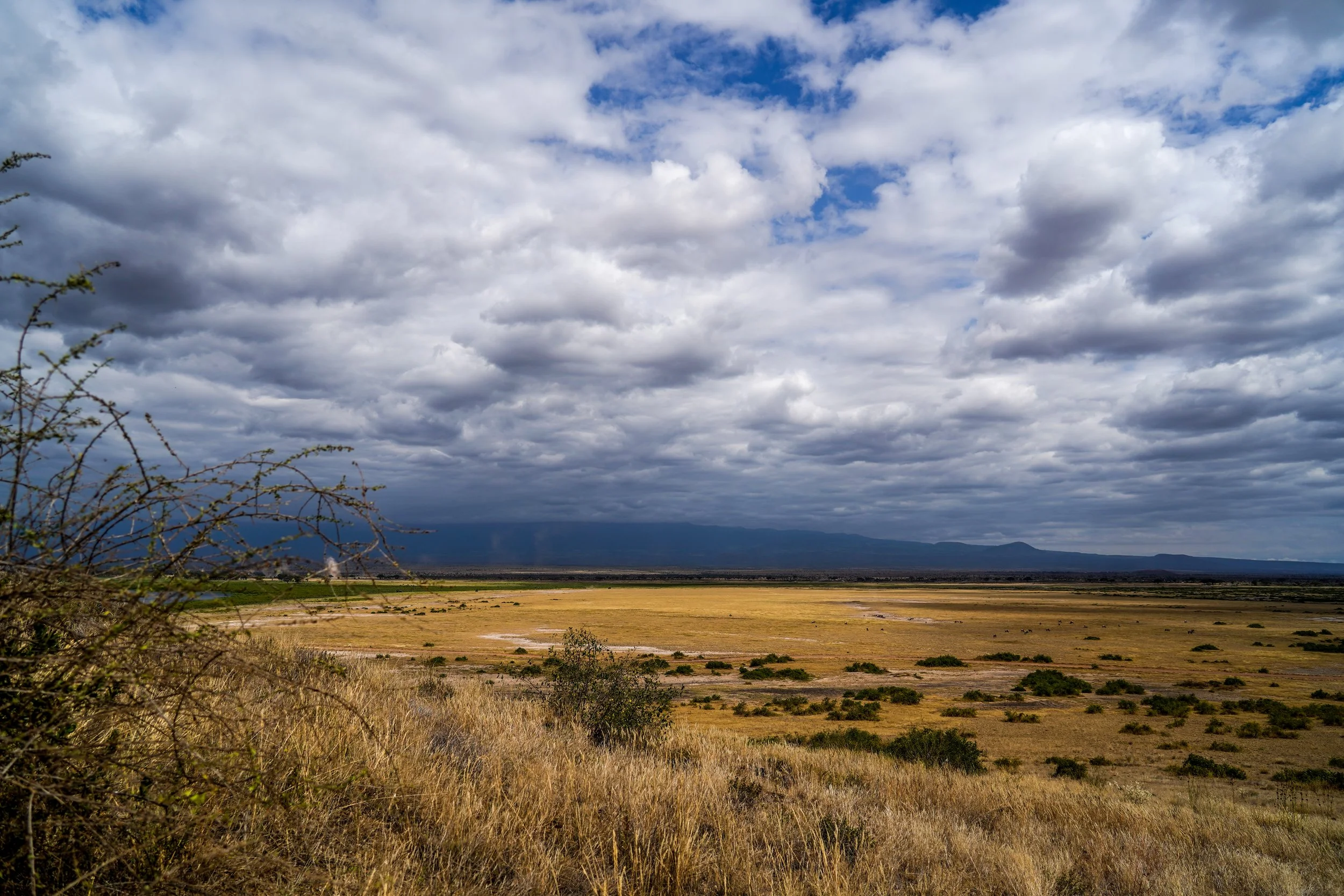 Amboseli, Kenya