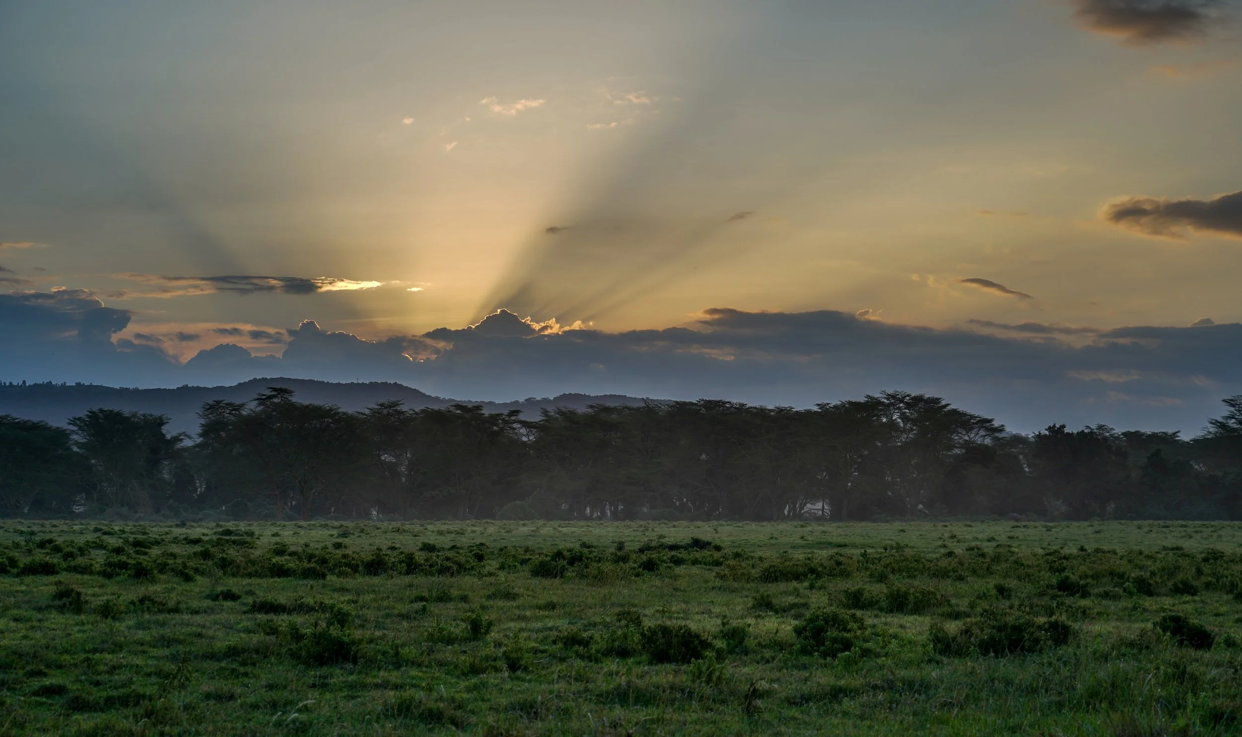 Lake Nakuru, Kenya