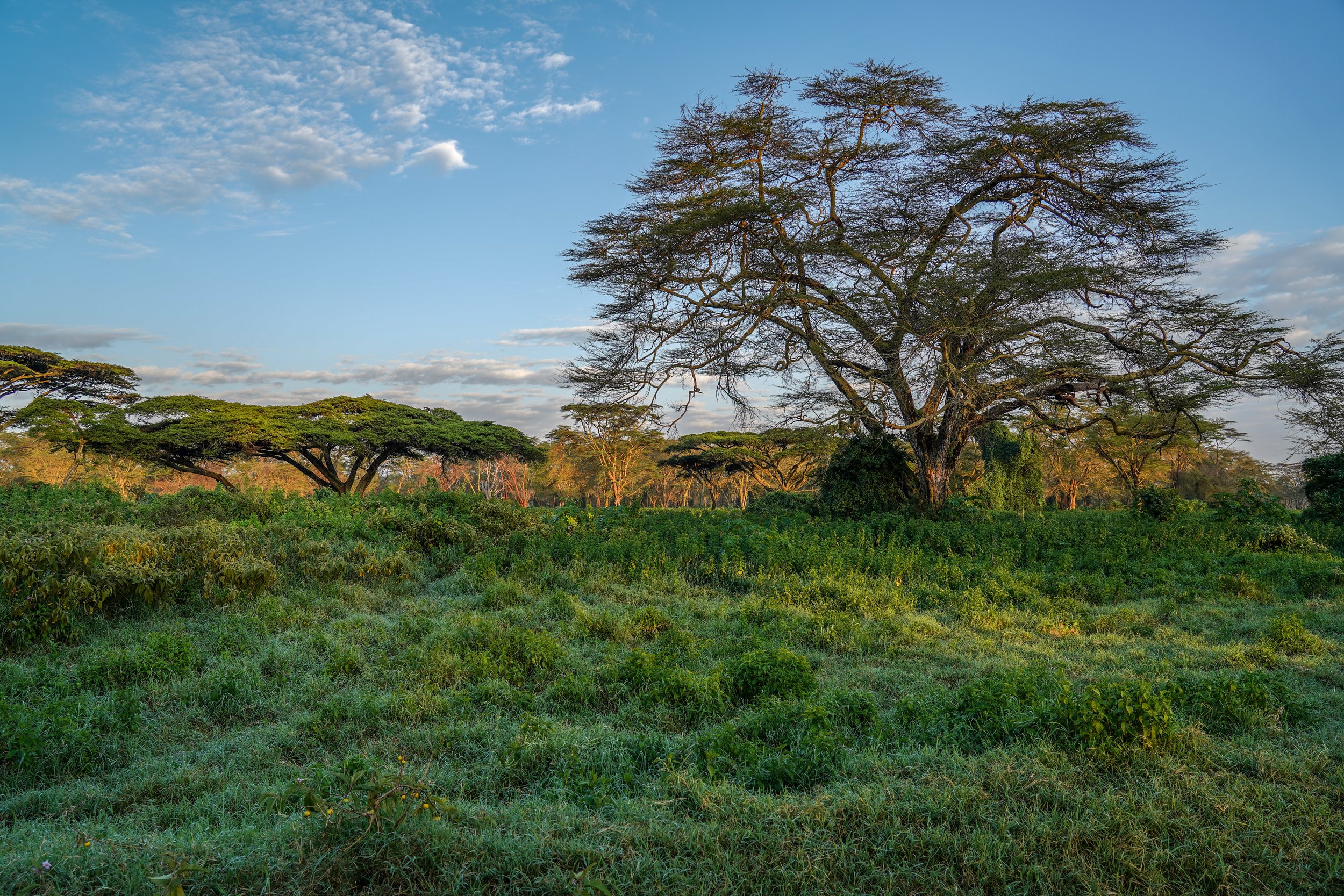 Lake Nakuru, Kenya