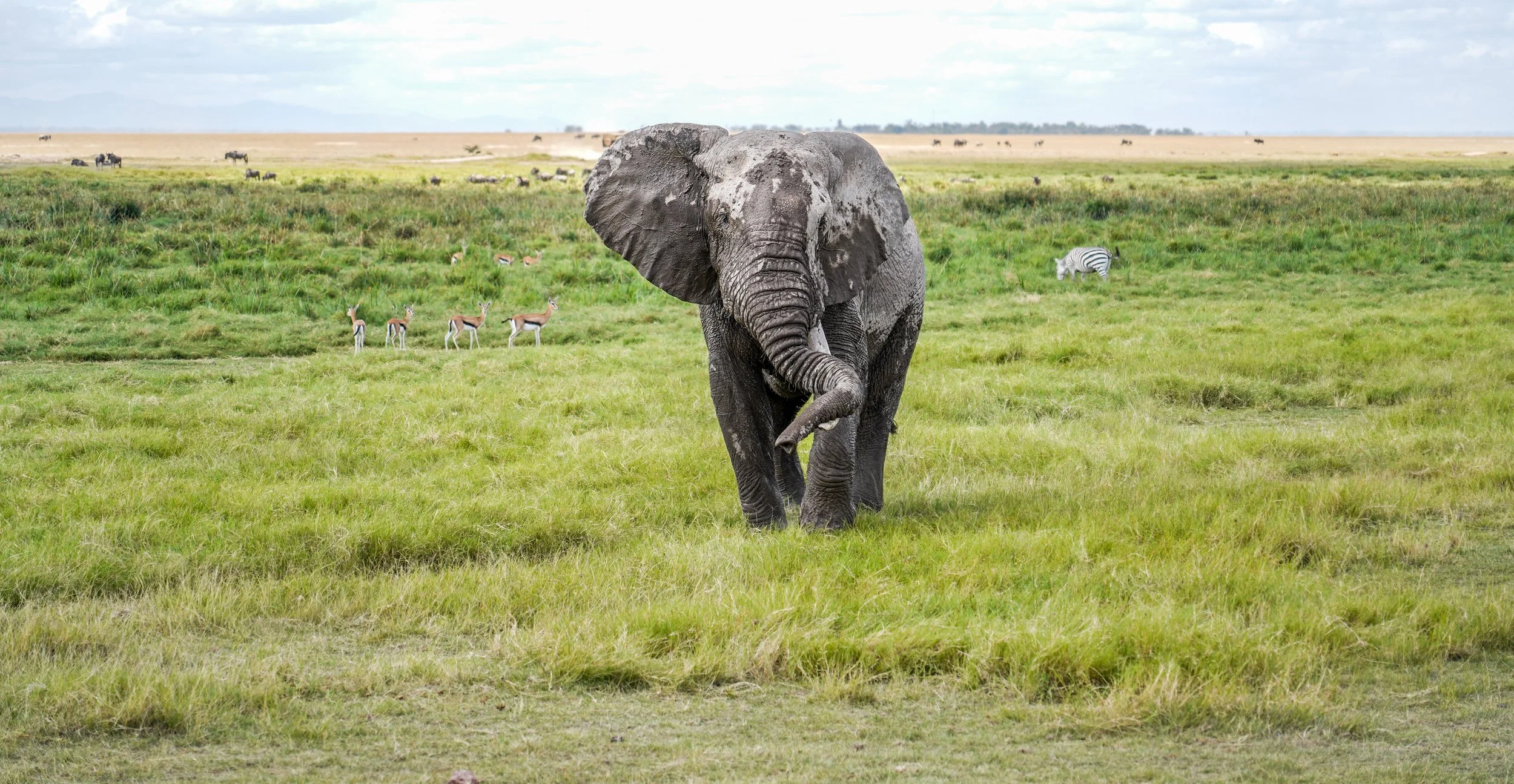 Amboseli, Kenya