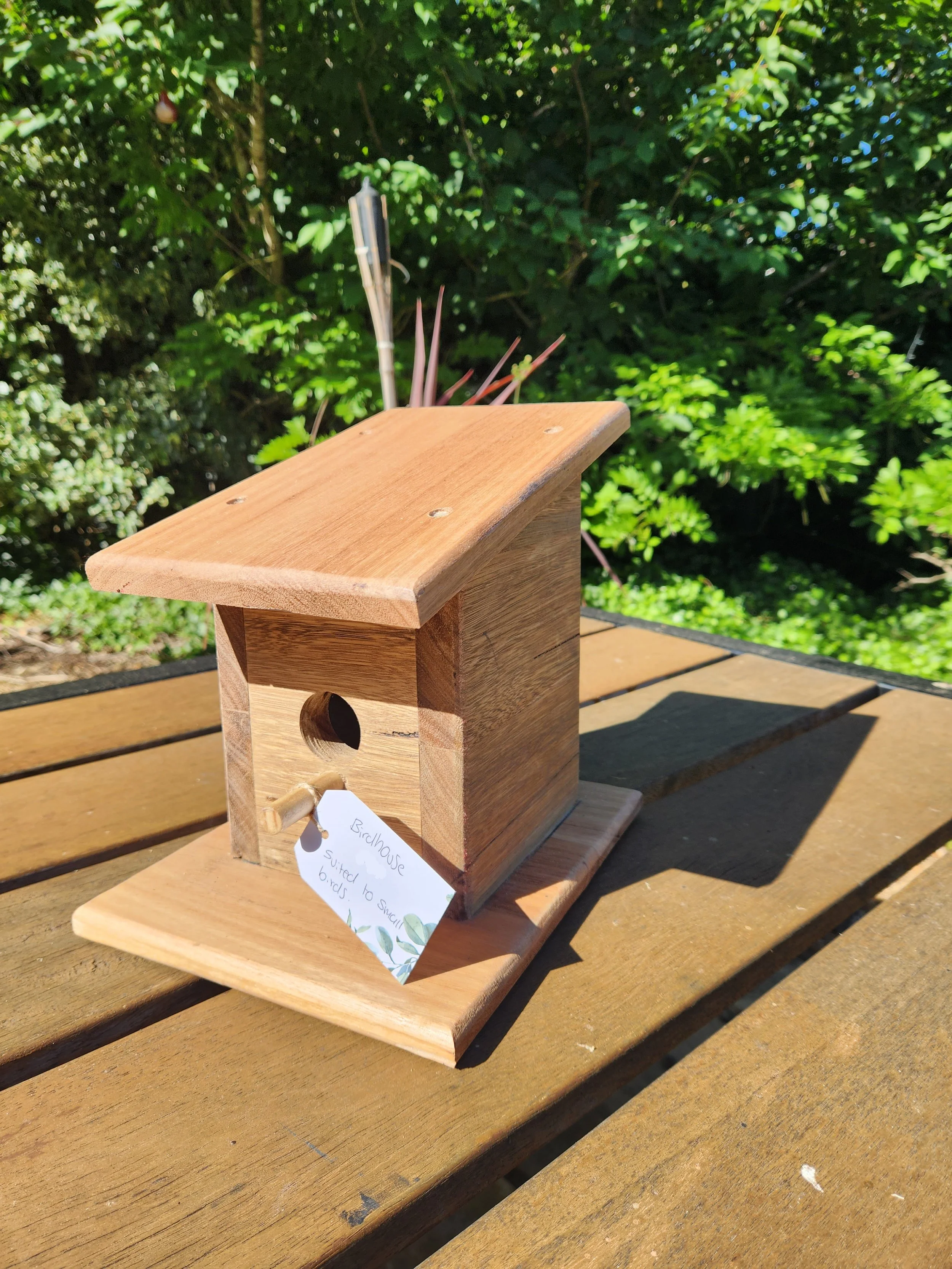 20241104_162915 1.jpg