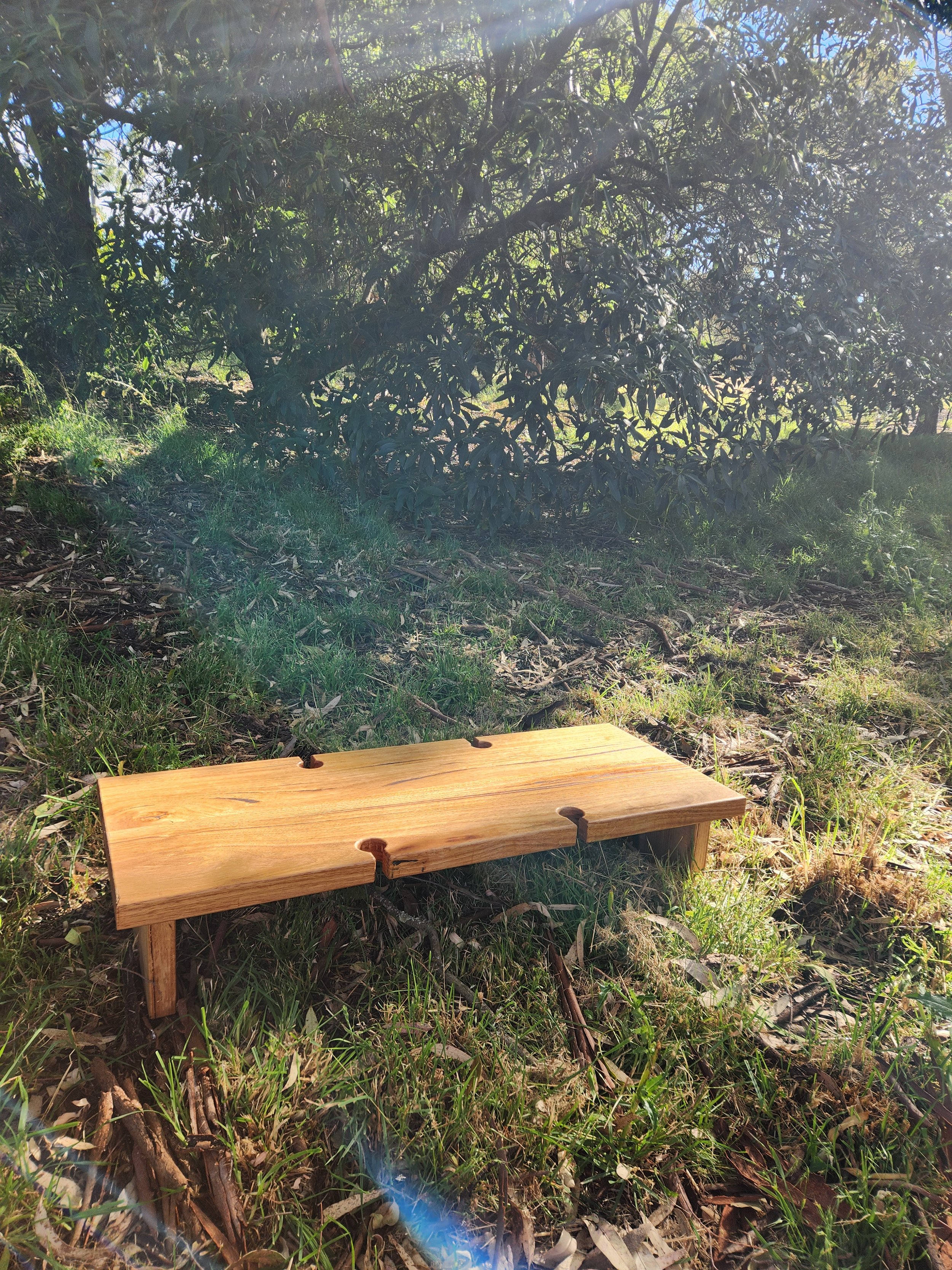 A wooden bench on grass with a large bush and trees in the background, sunlight shining through the leaves.