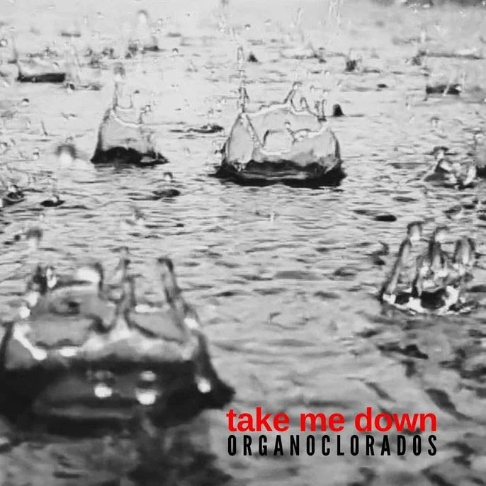 Organoclorados 2.jpg