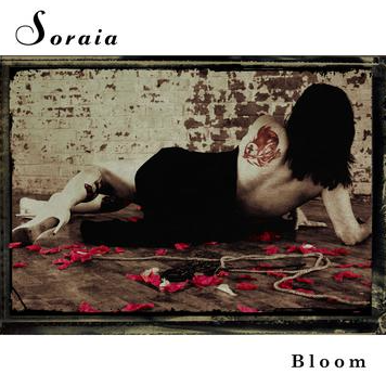 SORAIA 3.png