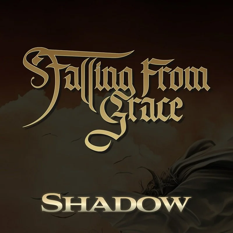 Falling From Grace 2.jpg
