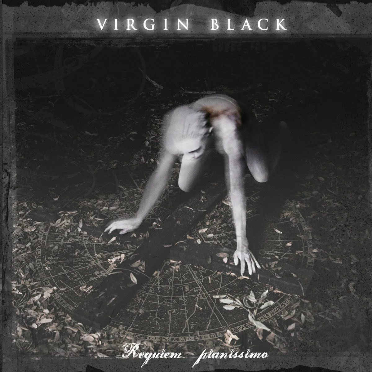 Virgin Black.jpg