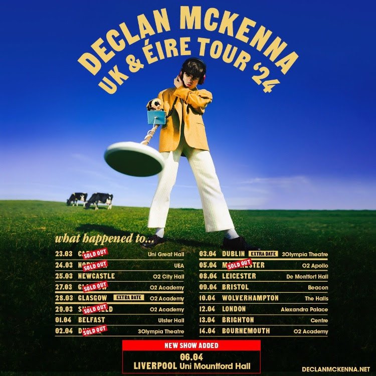 DECLAN MCKENNA 3.jpg