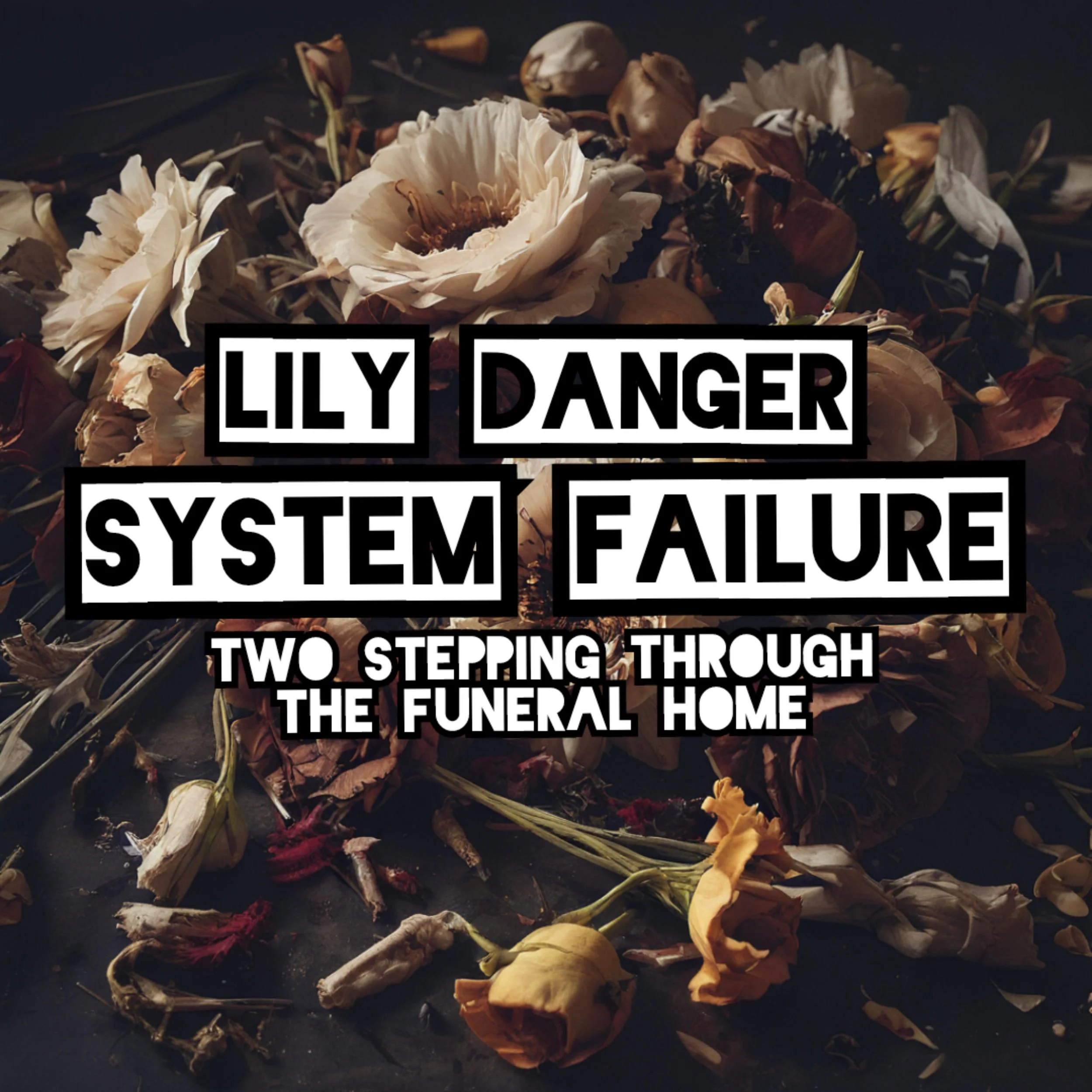 prod_track-files_917634_album_cover_LILY-DANGER-system-failure-album_cover.jpeg