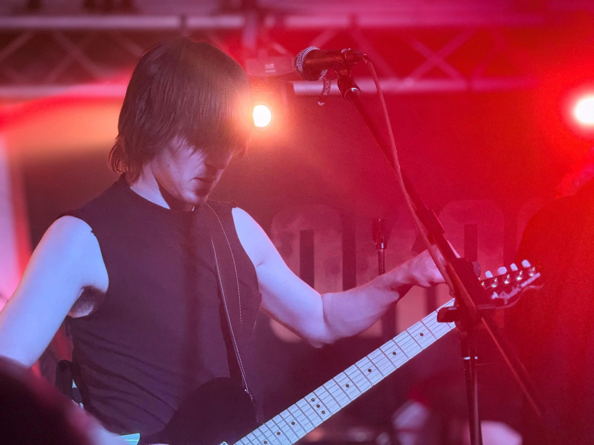 mother vulture. 3.jpeg