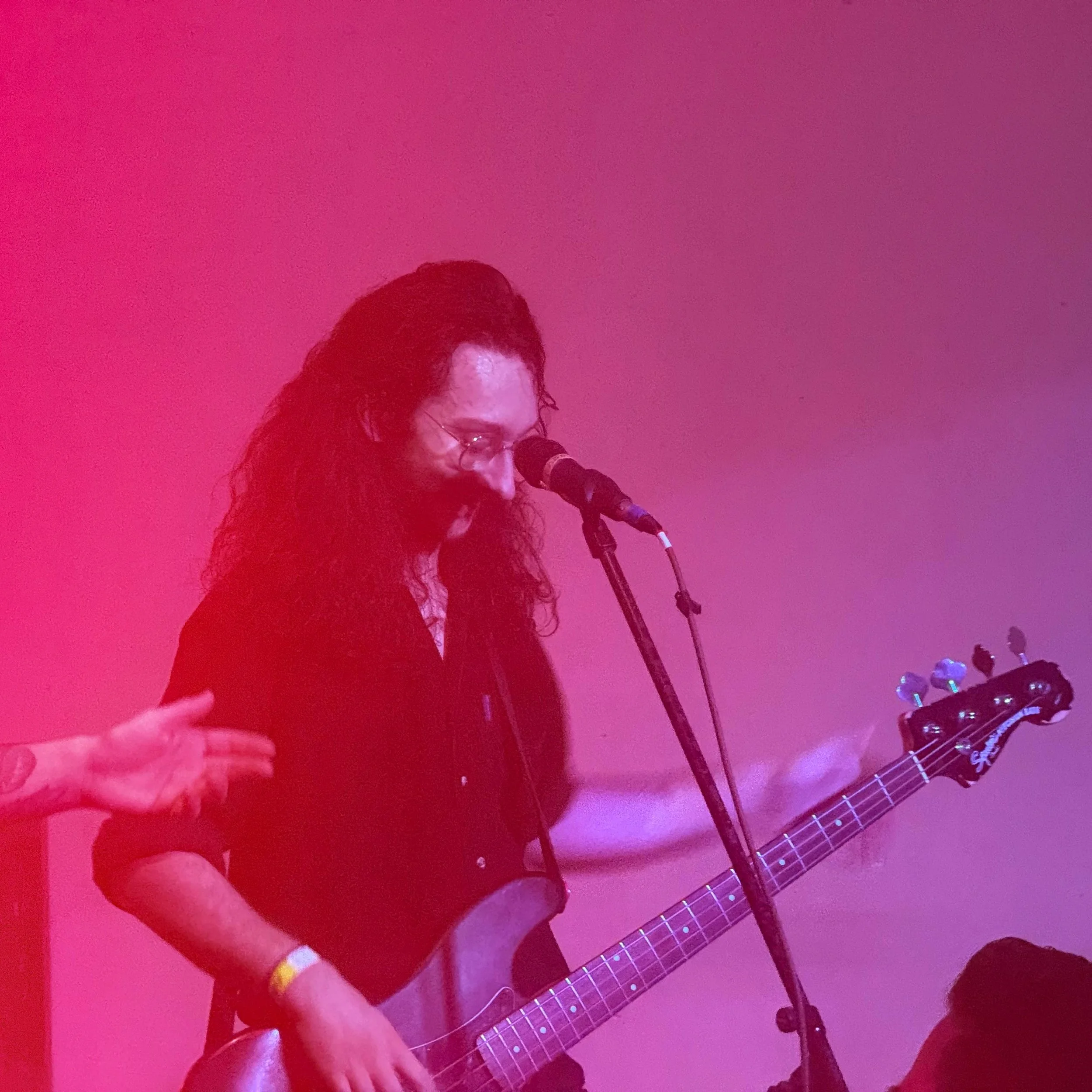 mother vulture. 2.jpeg