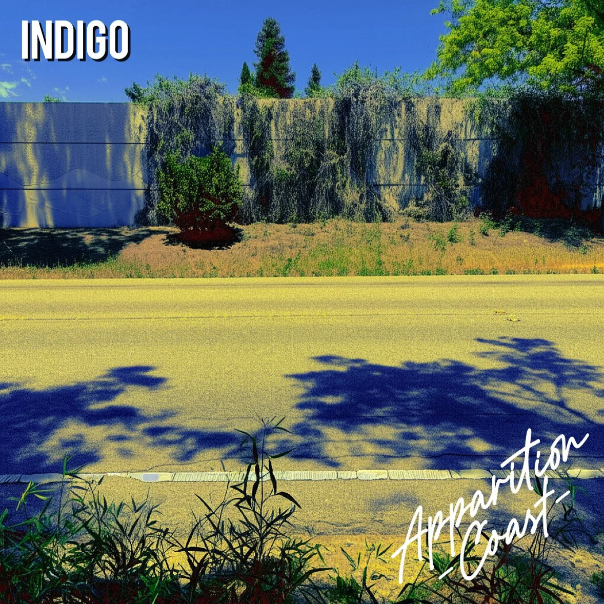 prod_track-files_1421262_album_cover_Apparition-Coast-indigo-album_cover.jpeg