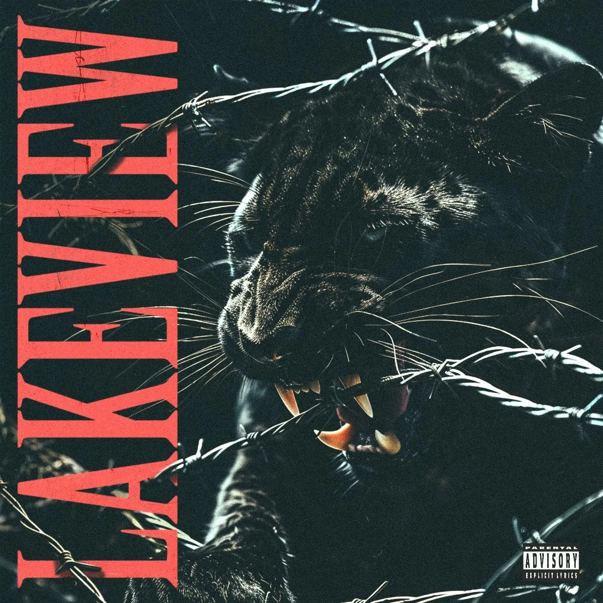 Lakeview release self titled debut album #39 Wrong Side of the Track Lakeview release self titled debut album #39 Wrong Side of the Track