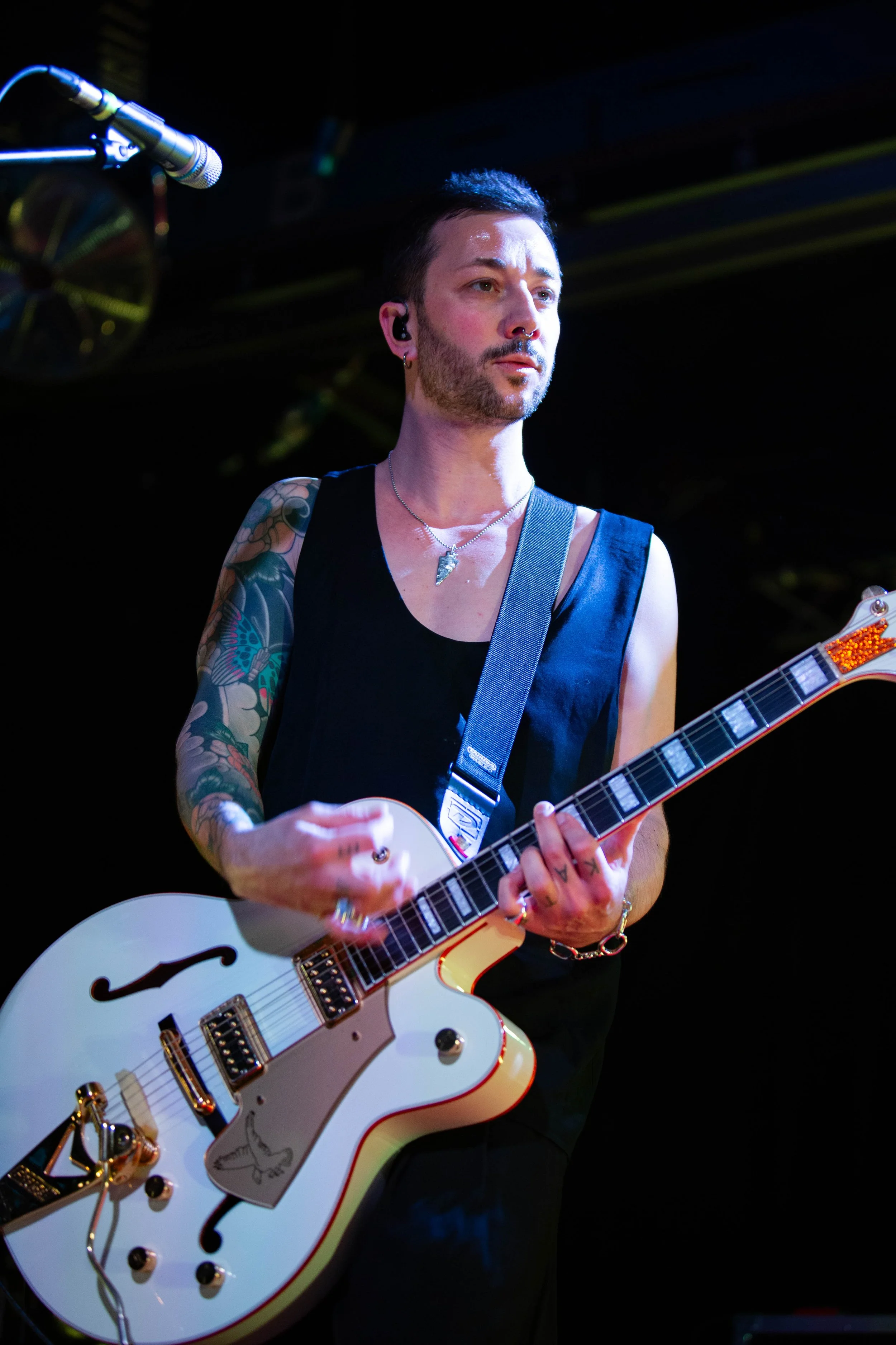 Feeder (62).jpg