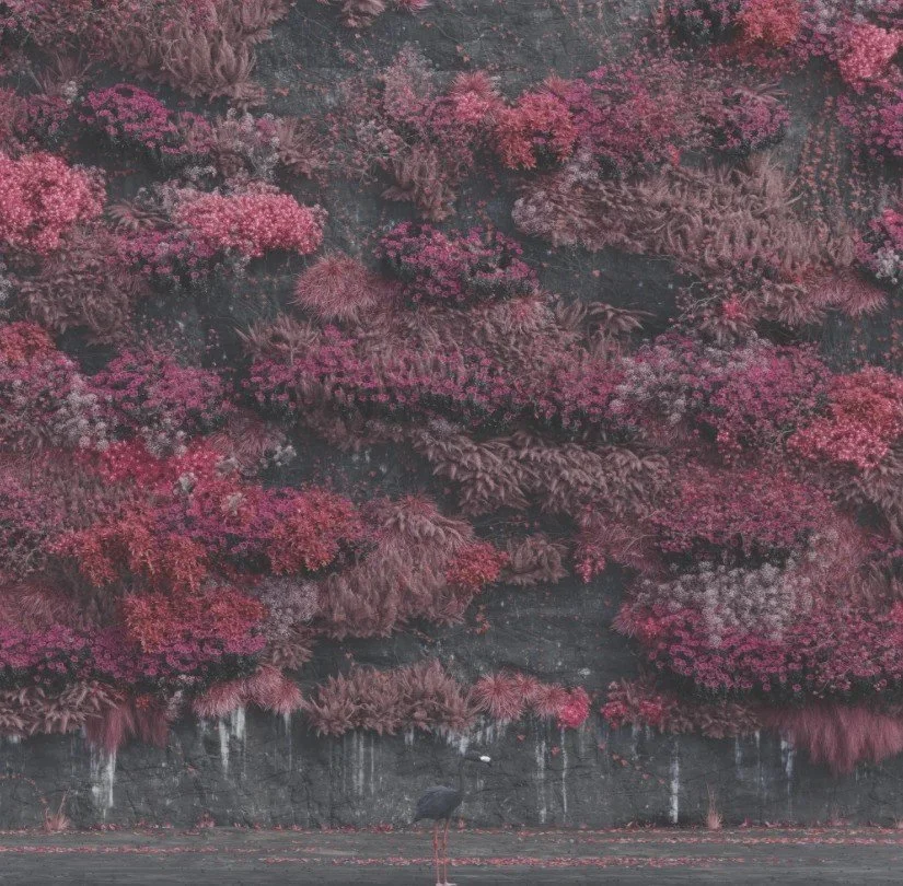 ALBUM REVIEW: Sleep Token - Even in Arcadia