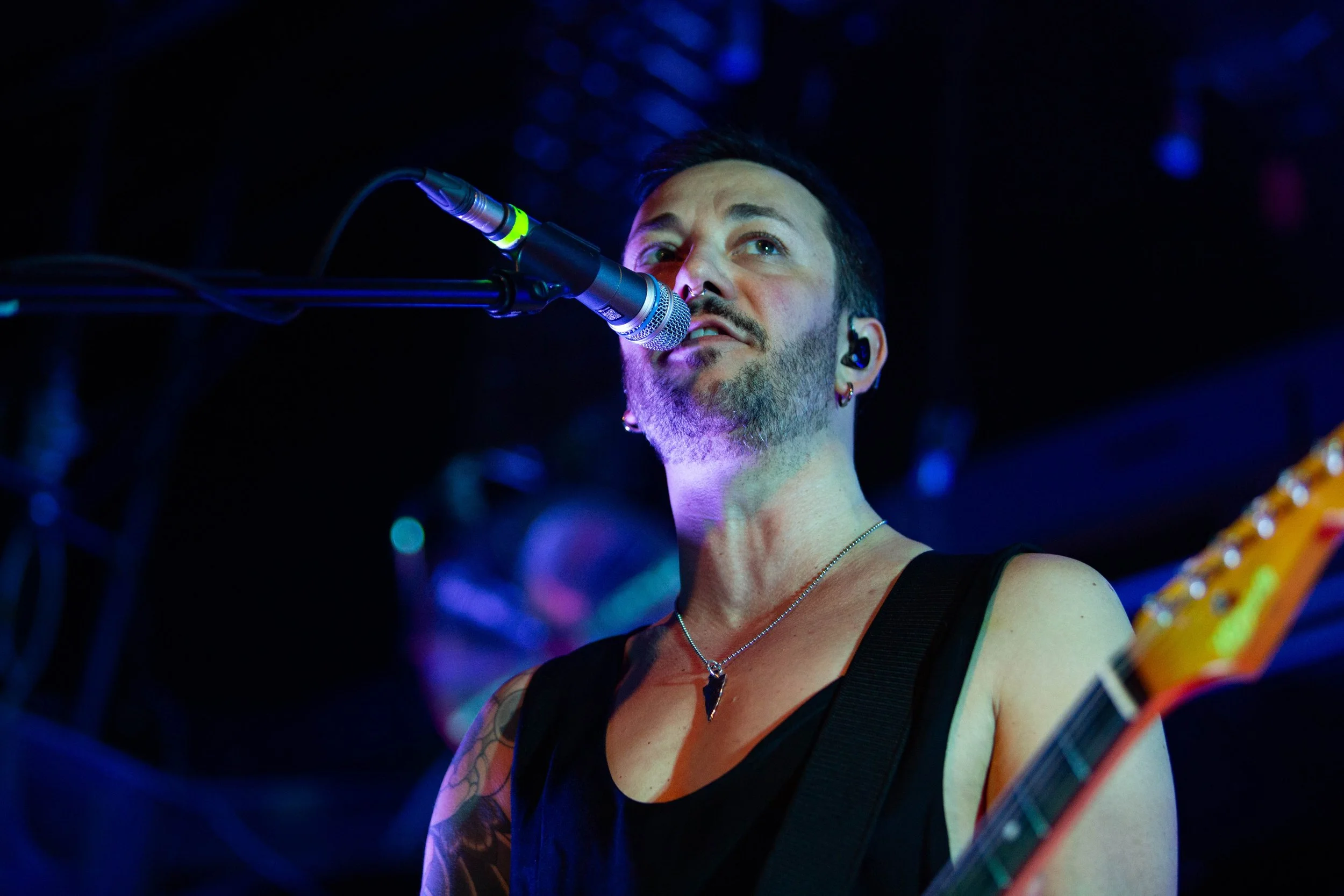 Feeder (20).jpg