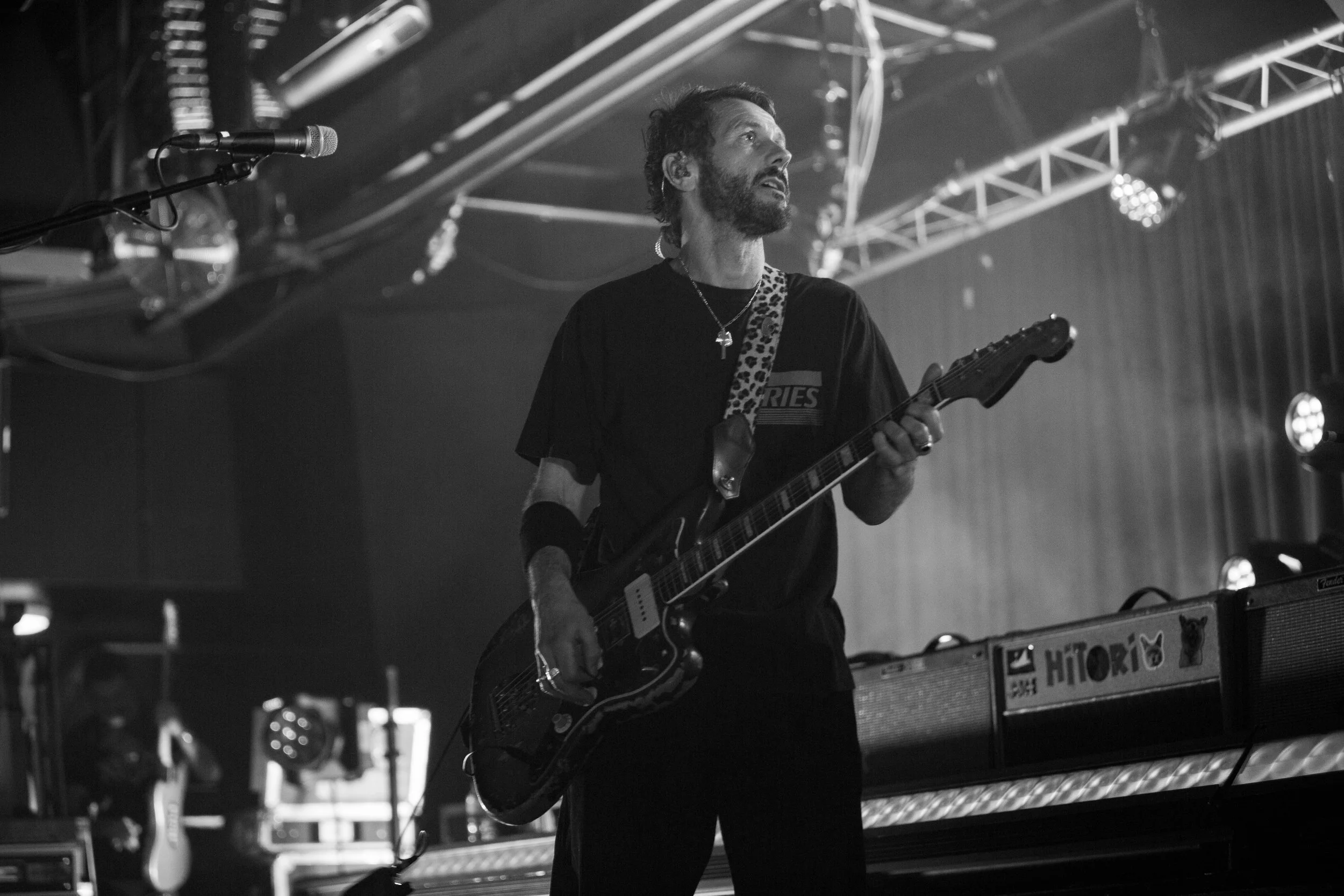 Feeder (38).jpg