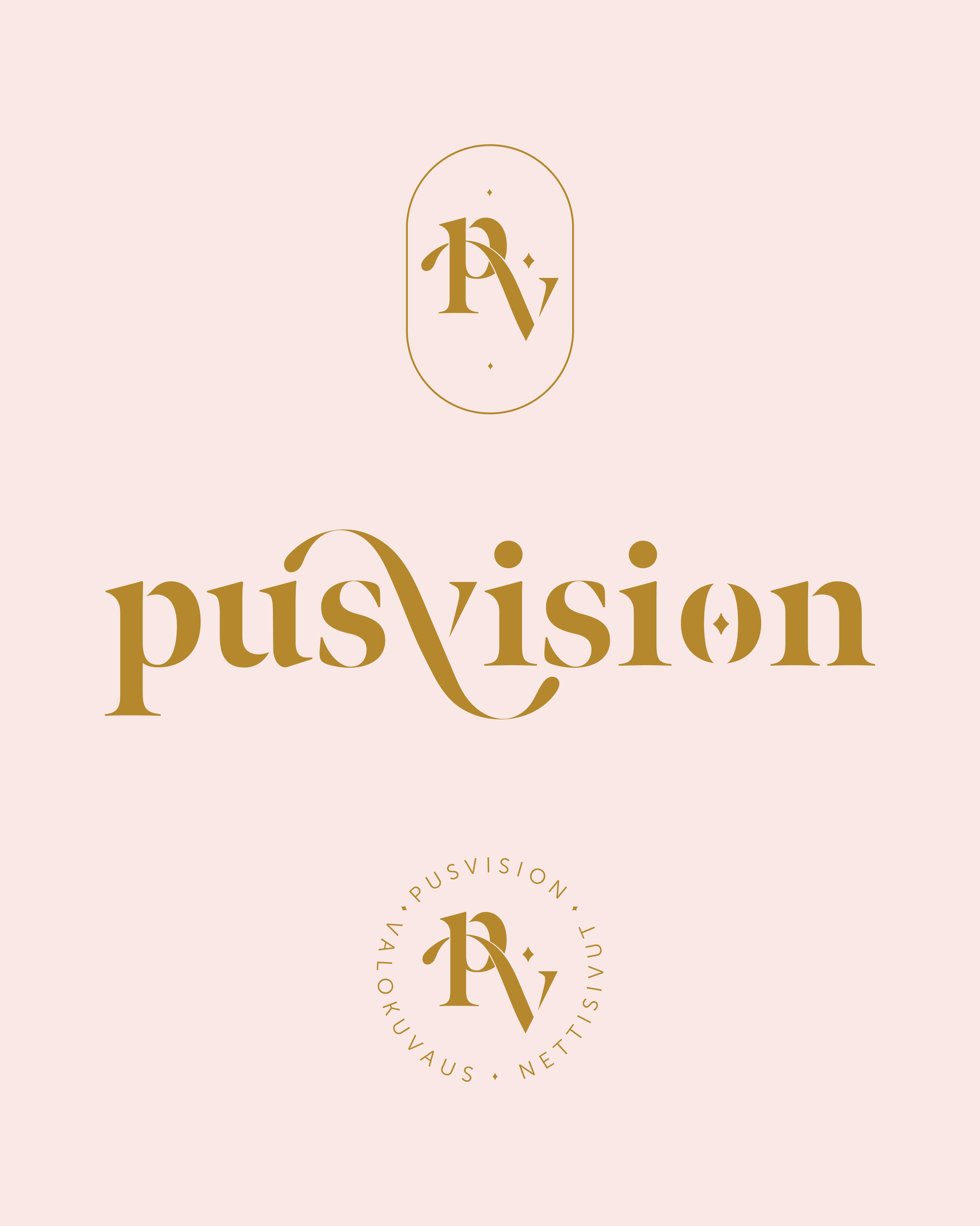 Pusvision brand reveal some-04.png
