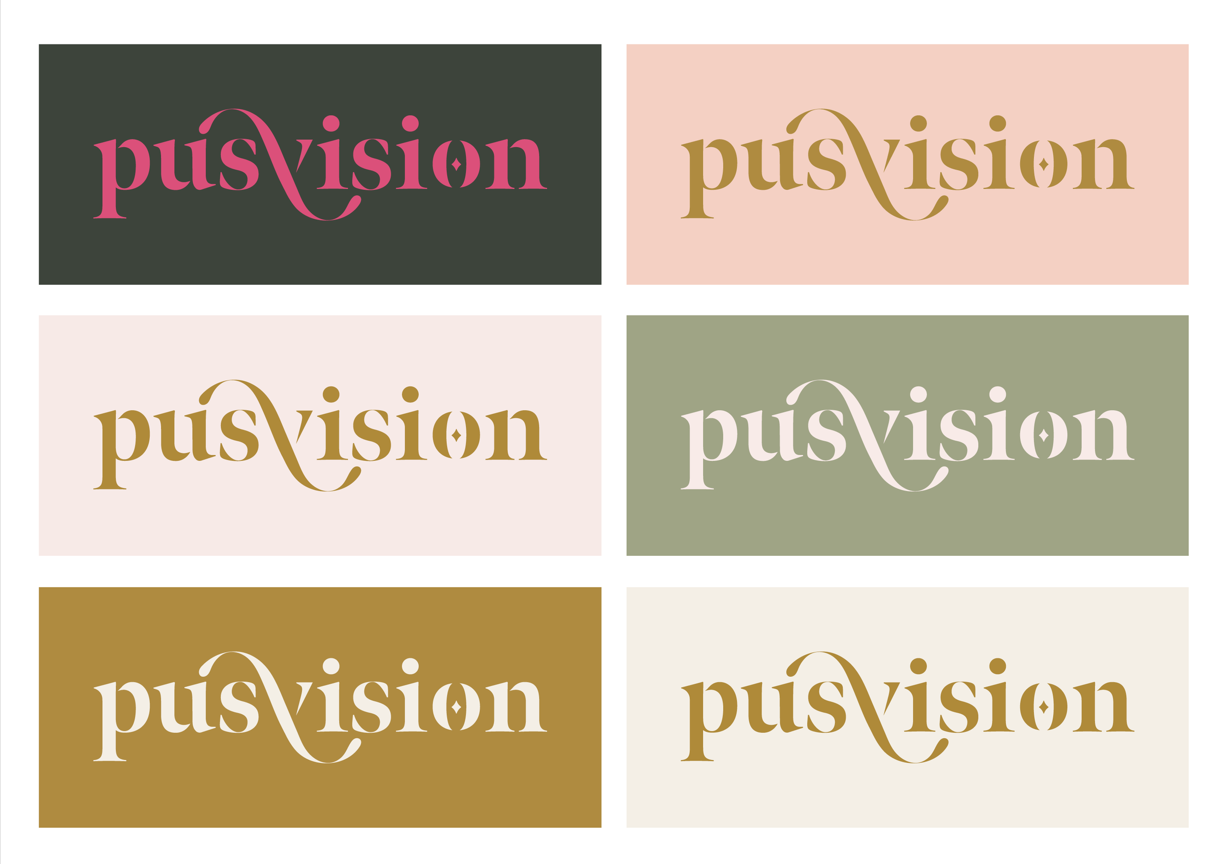 Pusvision- logovariaatiot.png